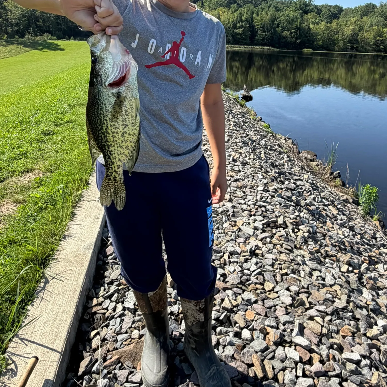Black crappie caught on Fishbrain