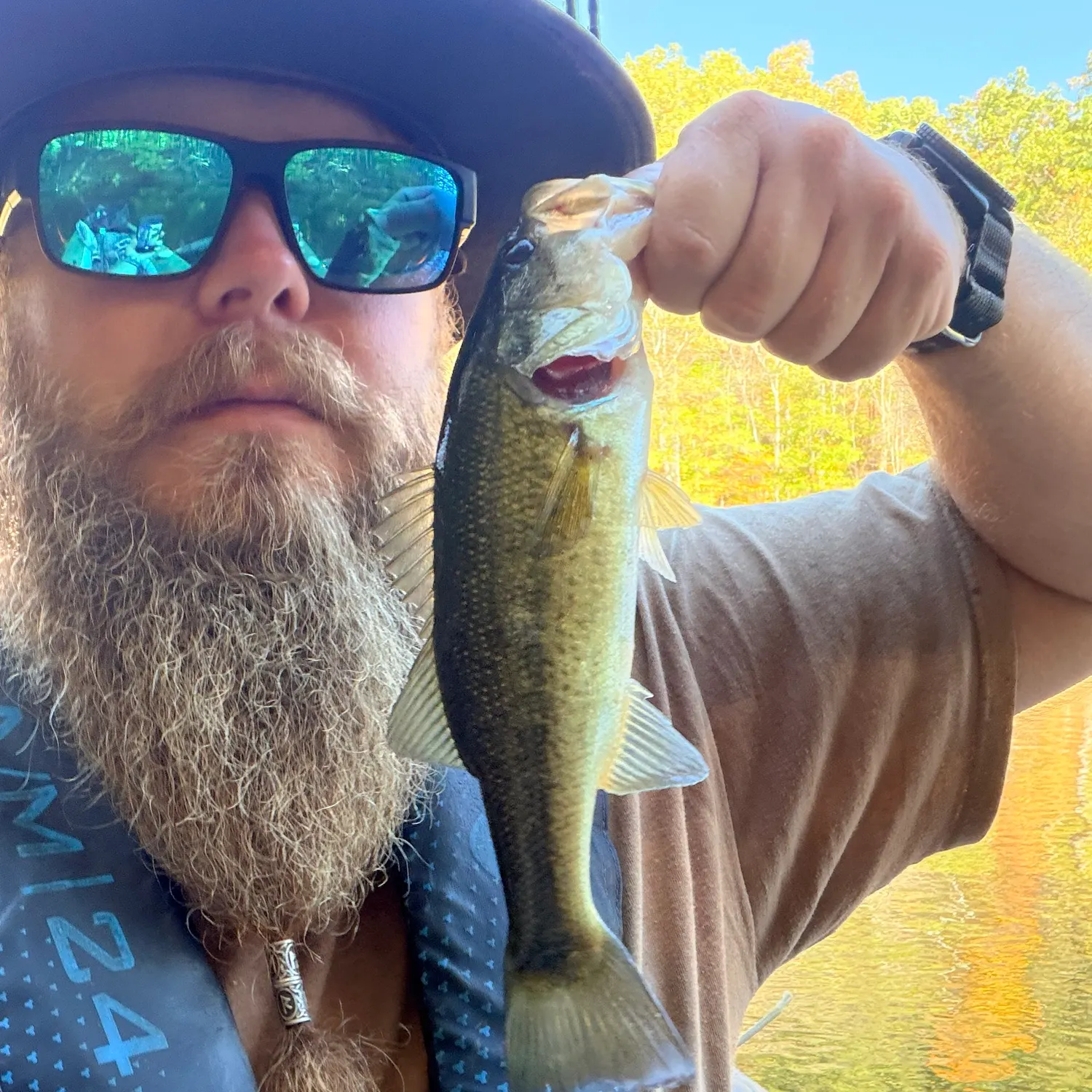 Largemouth bass caught on Fishbrain