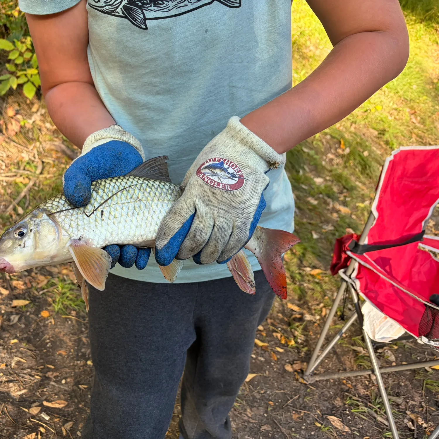 The most recent Greater redhorse catches on Fishbrain