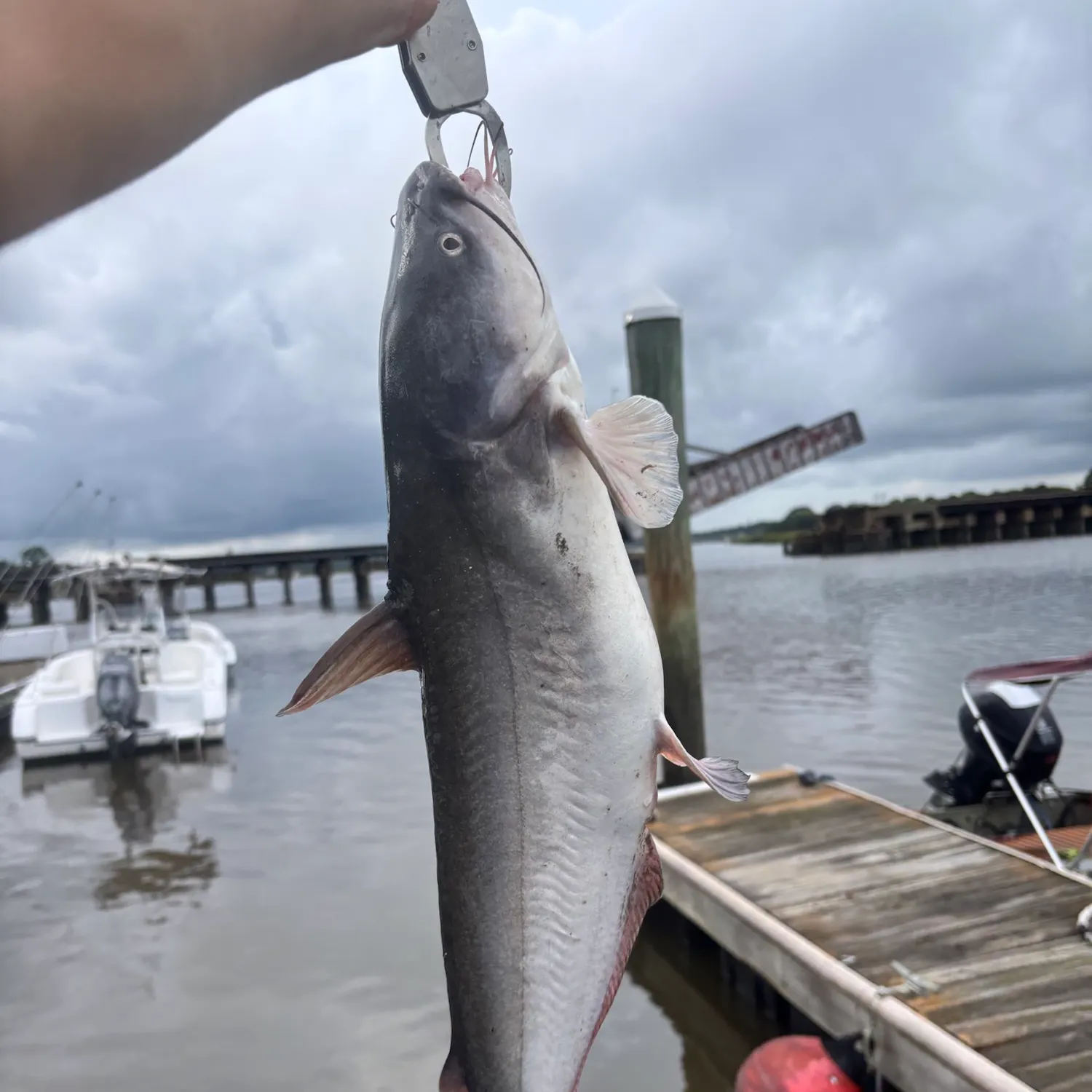 catch