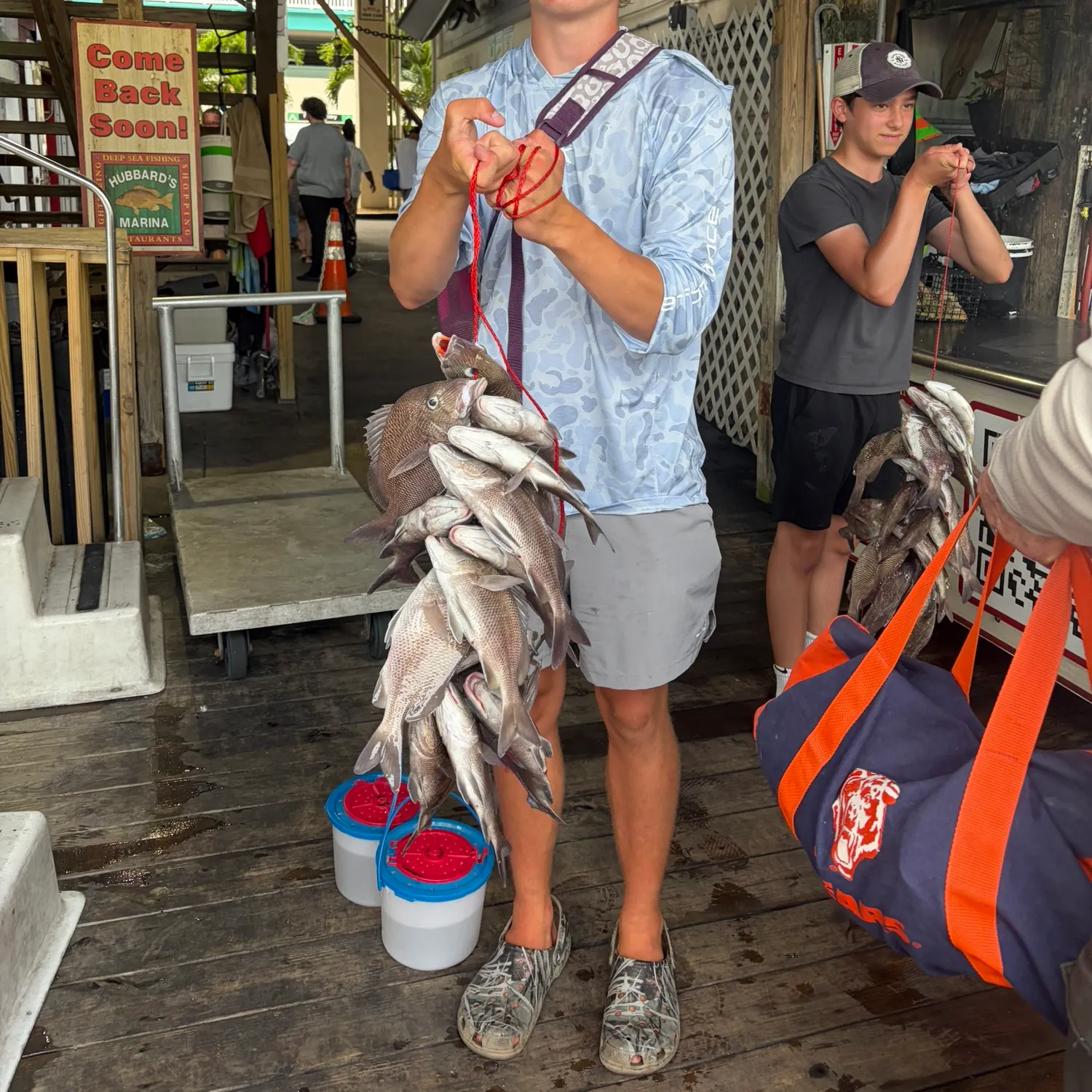 The most recent Mangrove snapper catches on Fishbrain