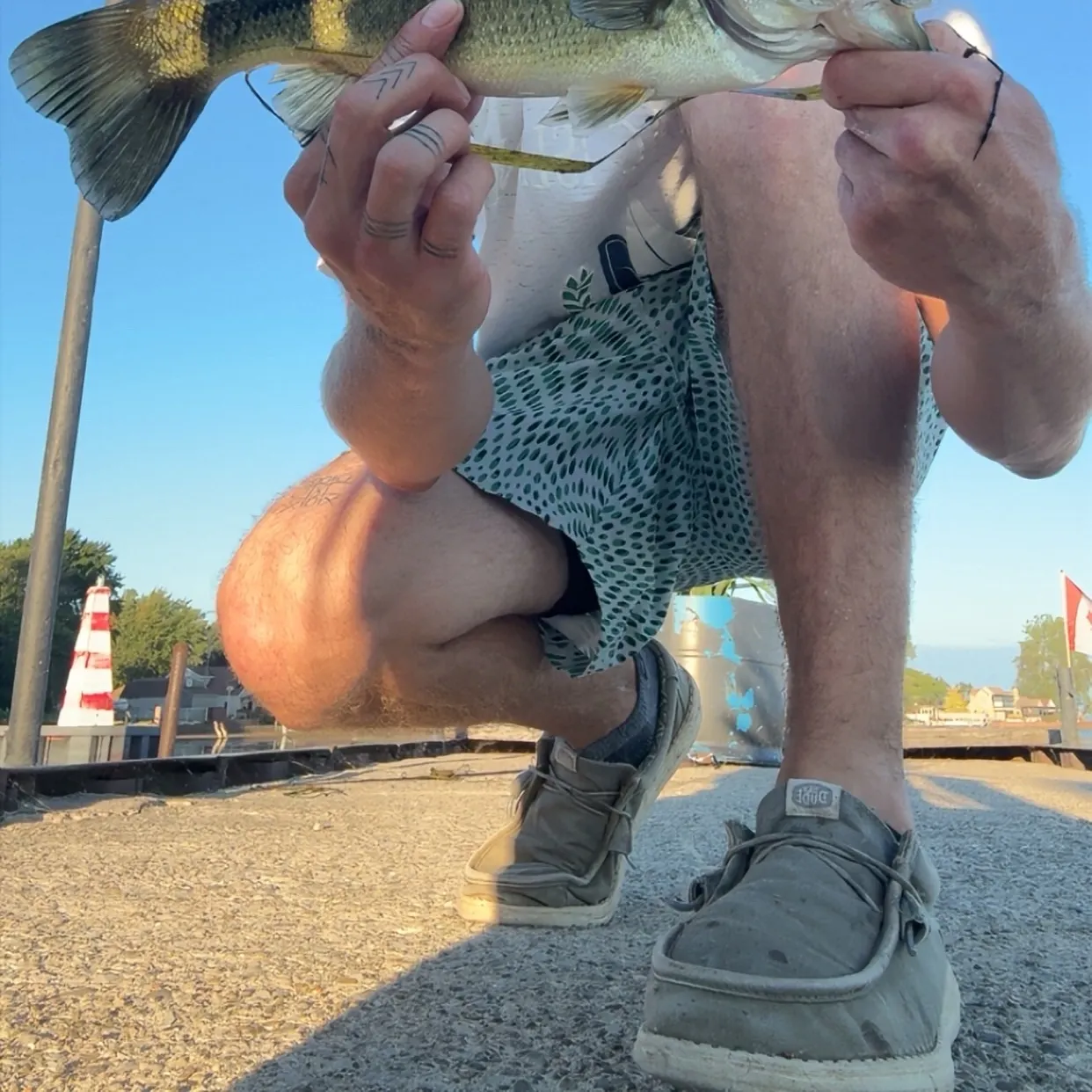 catch