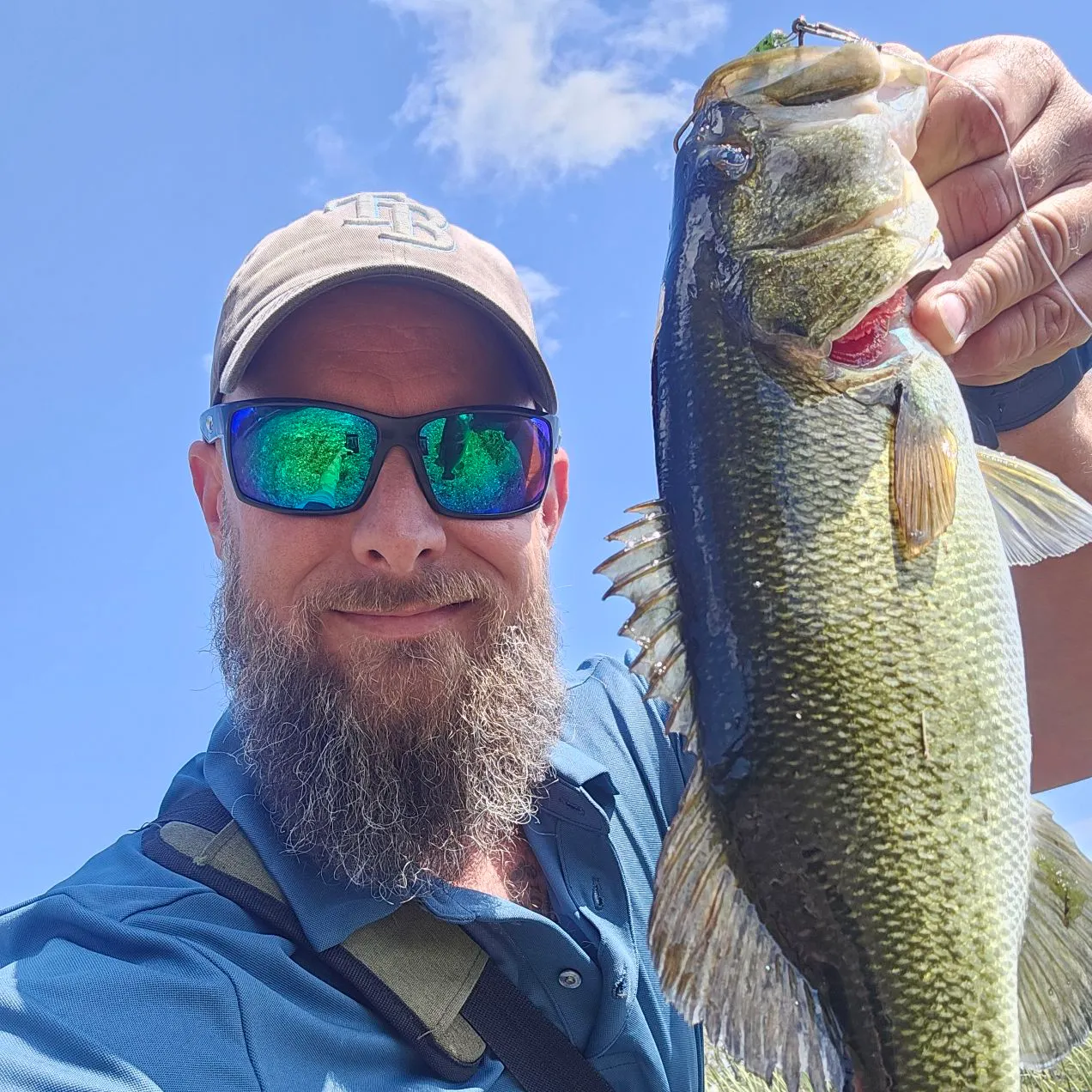 Largemouth bass caught on Fishbrain
