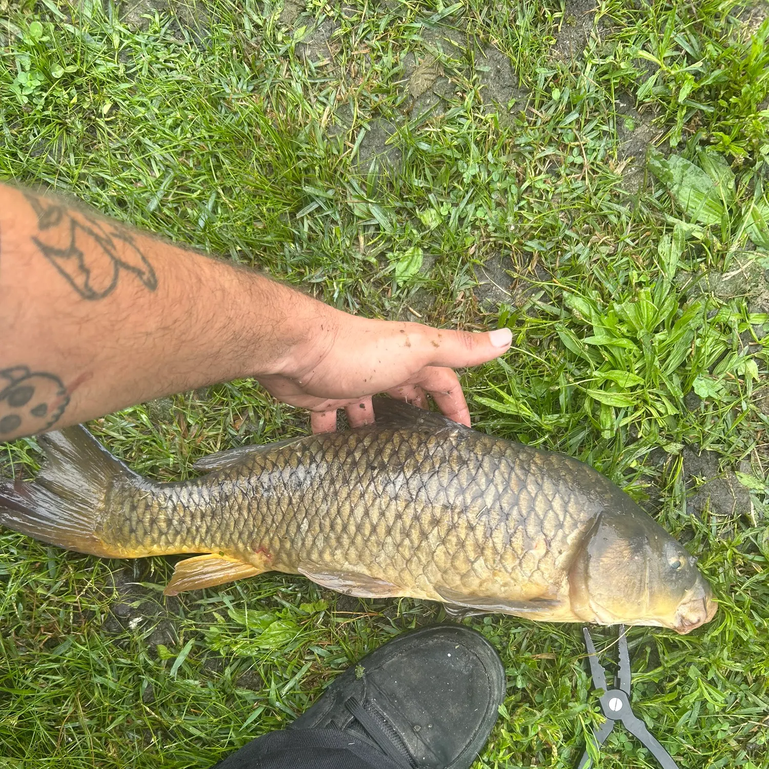 catch