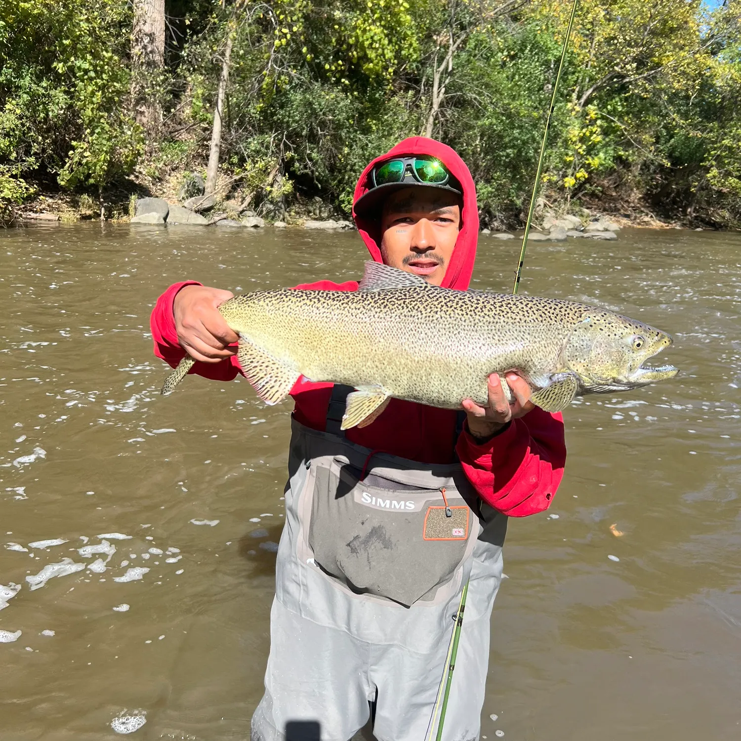 Chinook salmon caught on Fishbrain