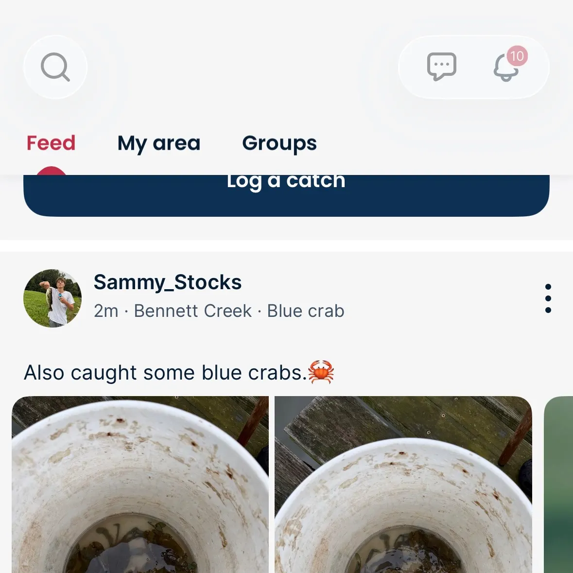 recently logged catches