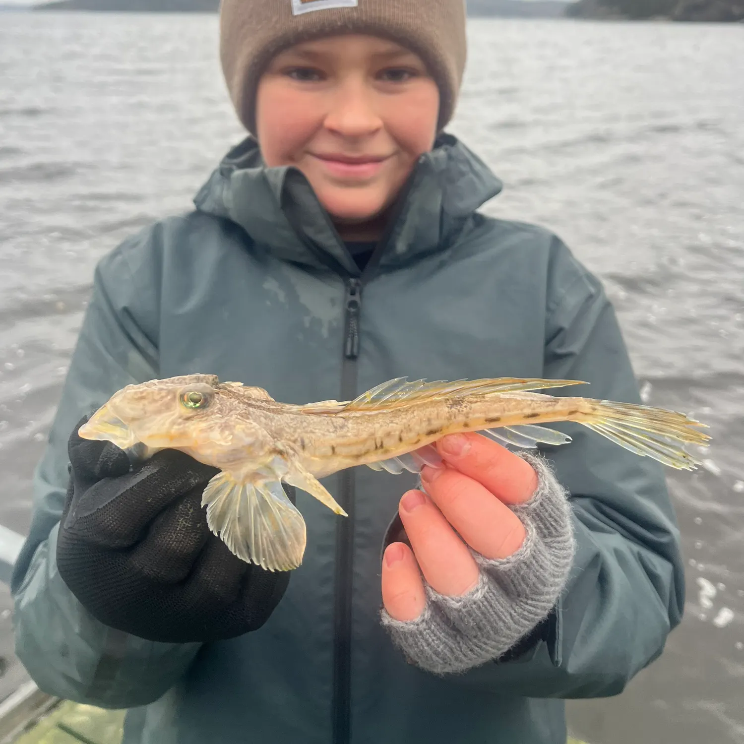 The most recent Dragonet catches on Fishbrain