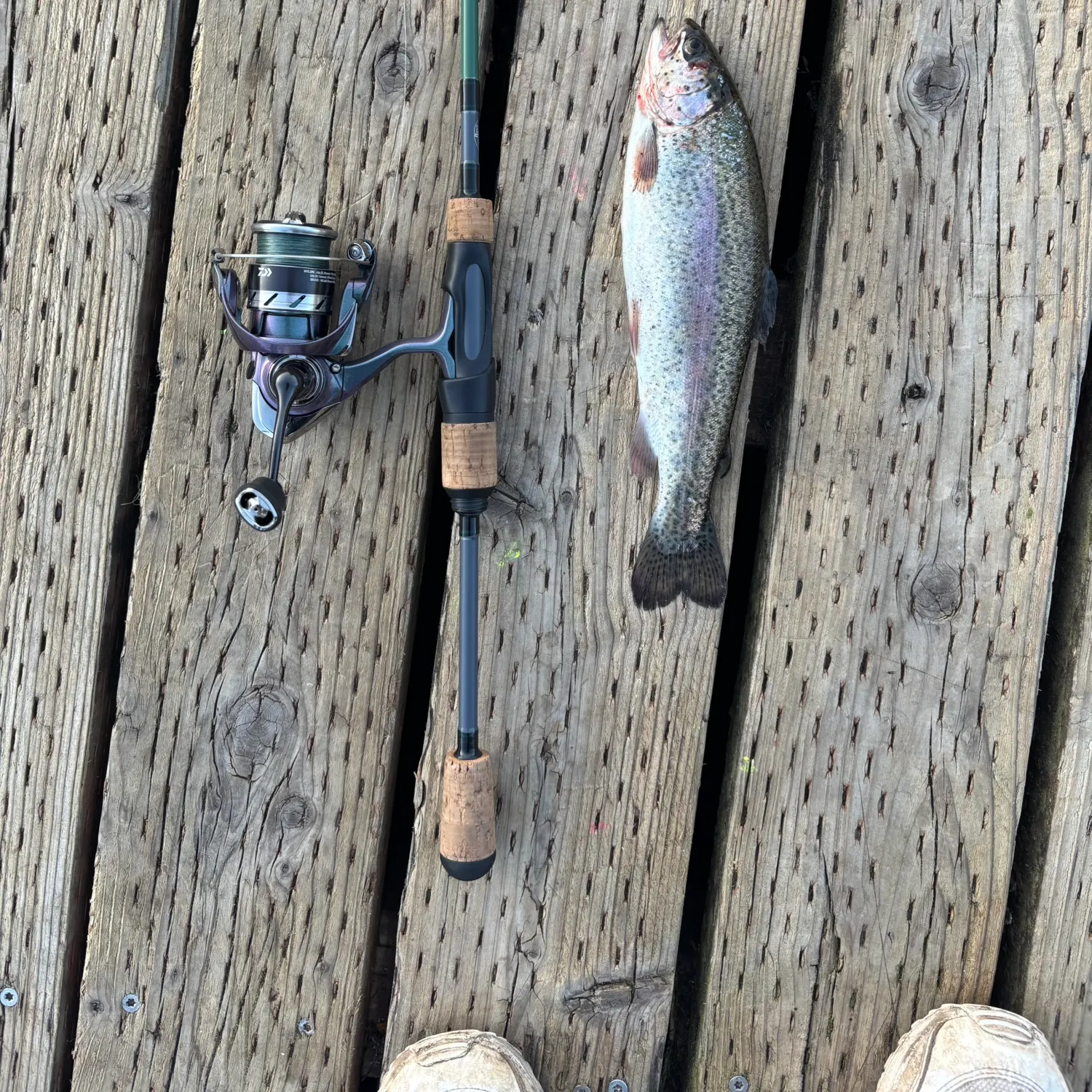 recently logged catches