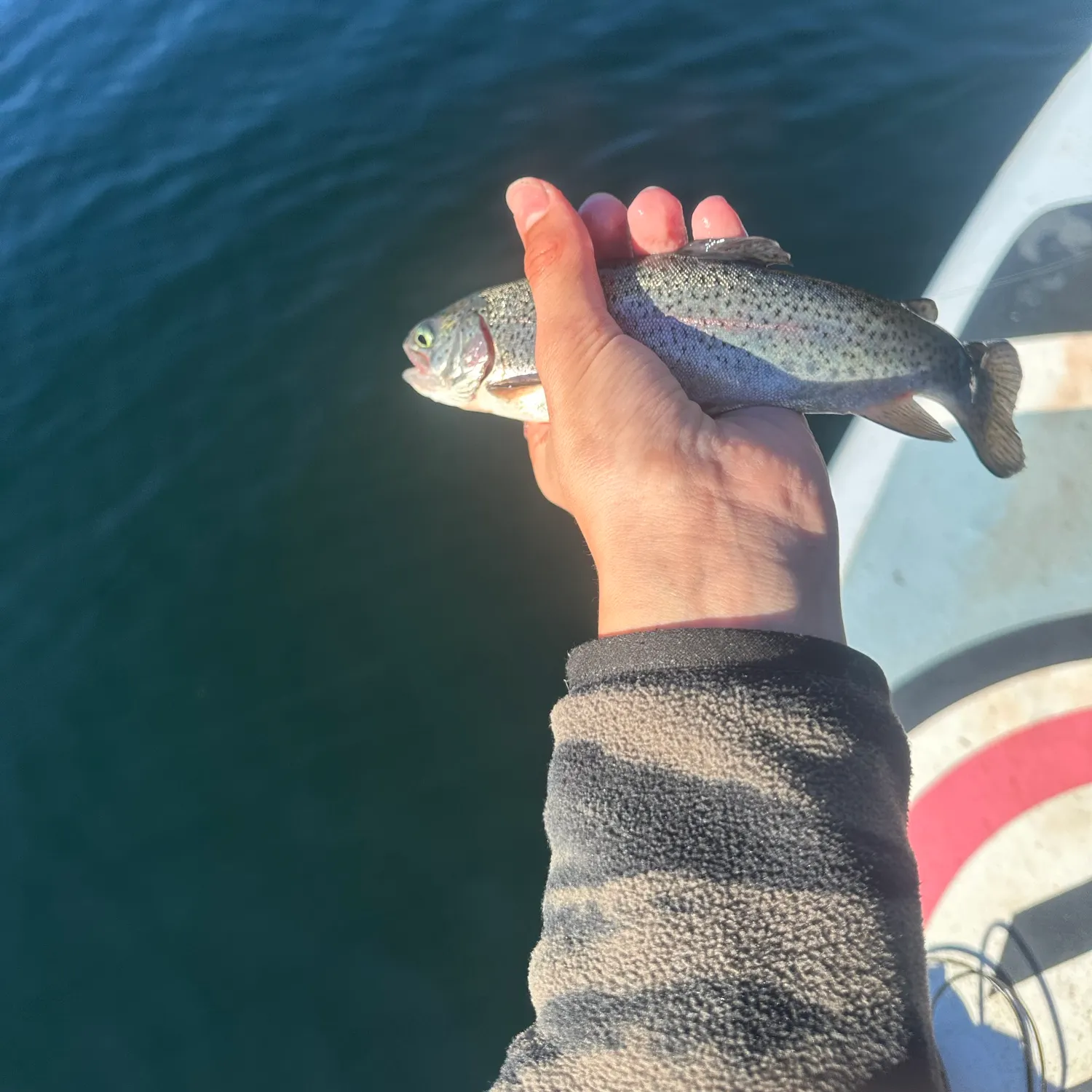 Rainbow trout caught on Fishbrain