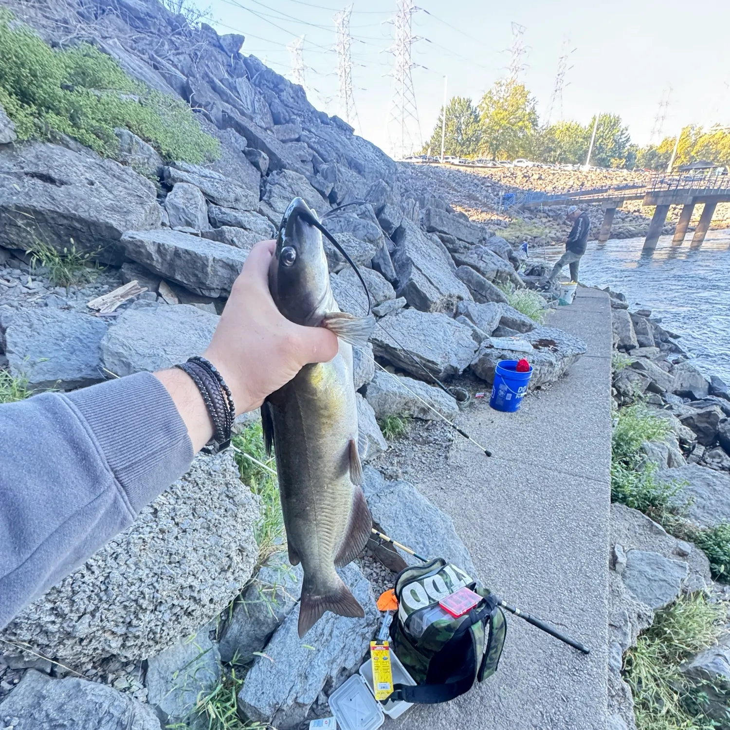 Channel catfish caught on Fishbrain