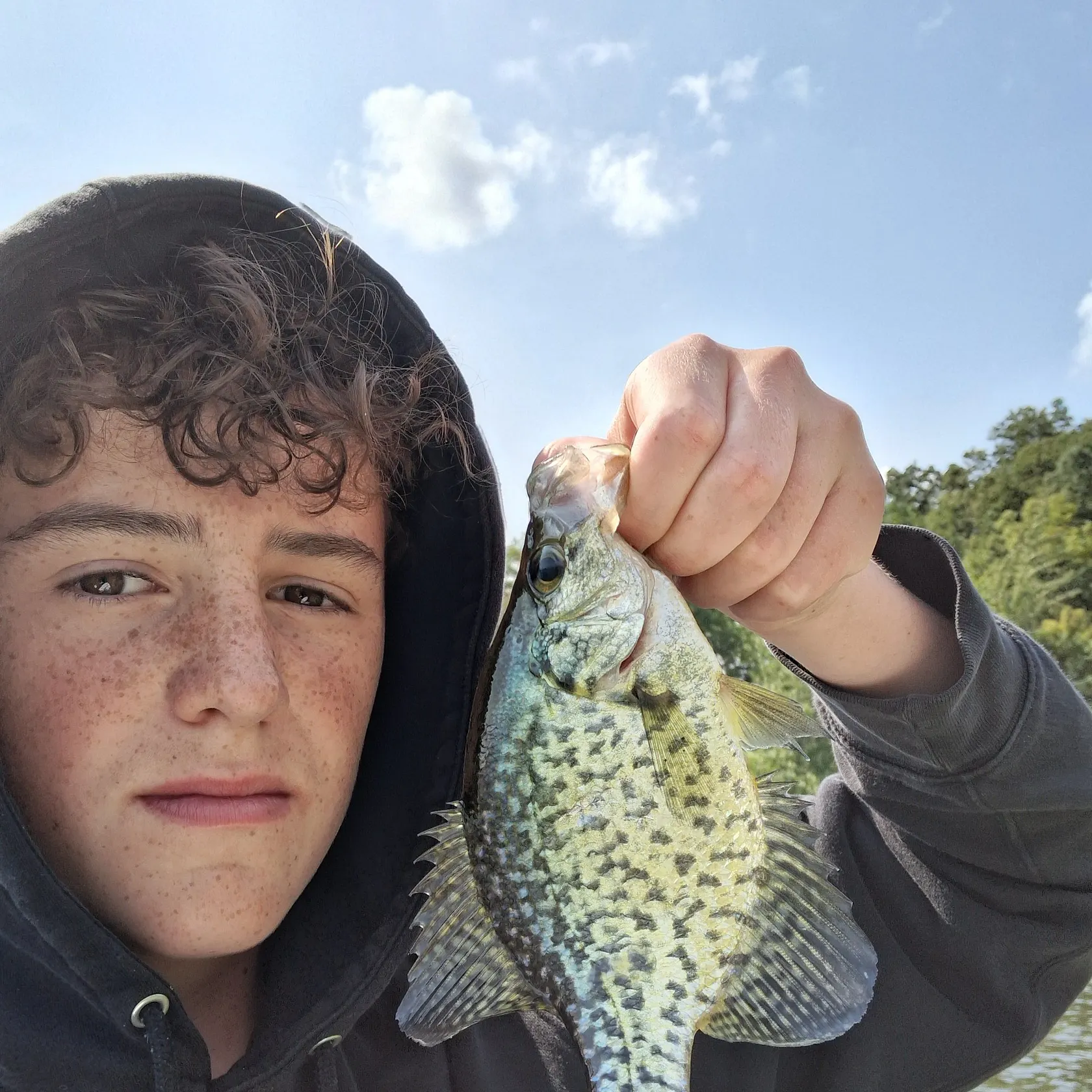 Black crappie caught on Fishbrain