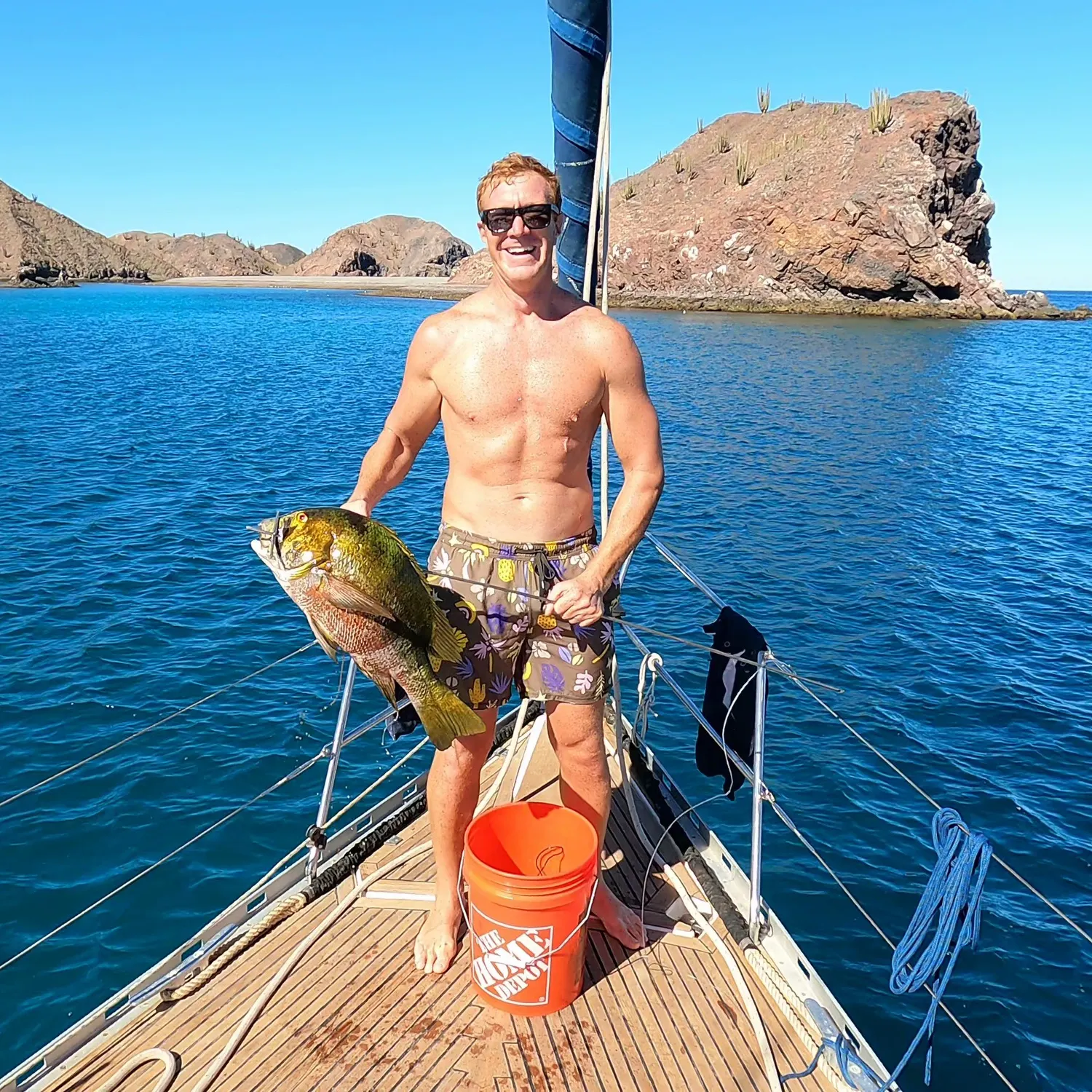 The most recent Dog Snapper catches on Fishbrain