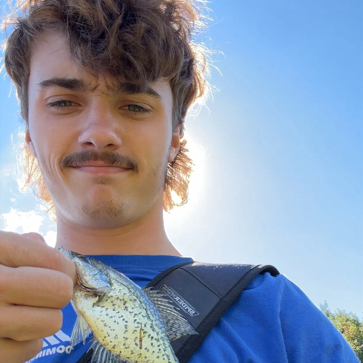 Black crappie caught on Fishbrain