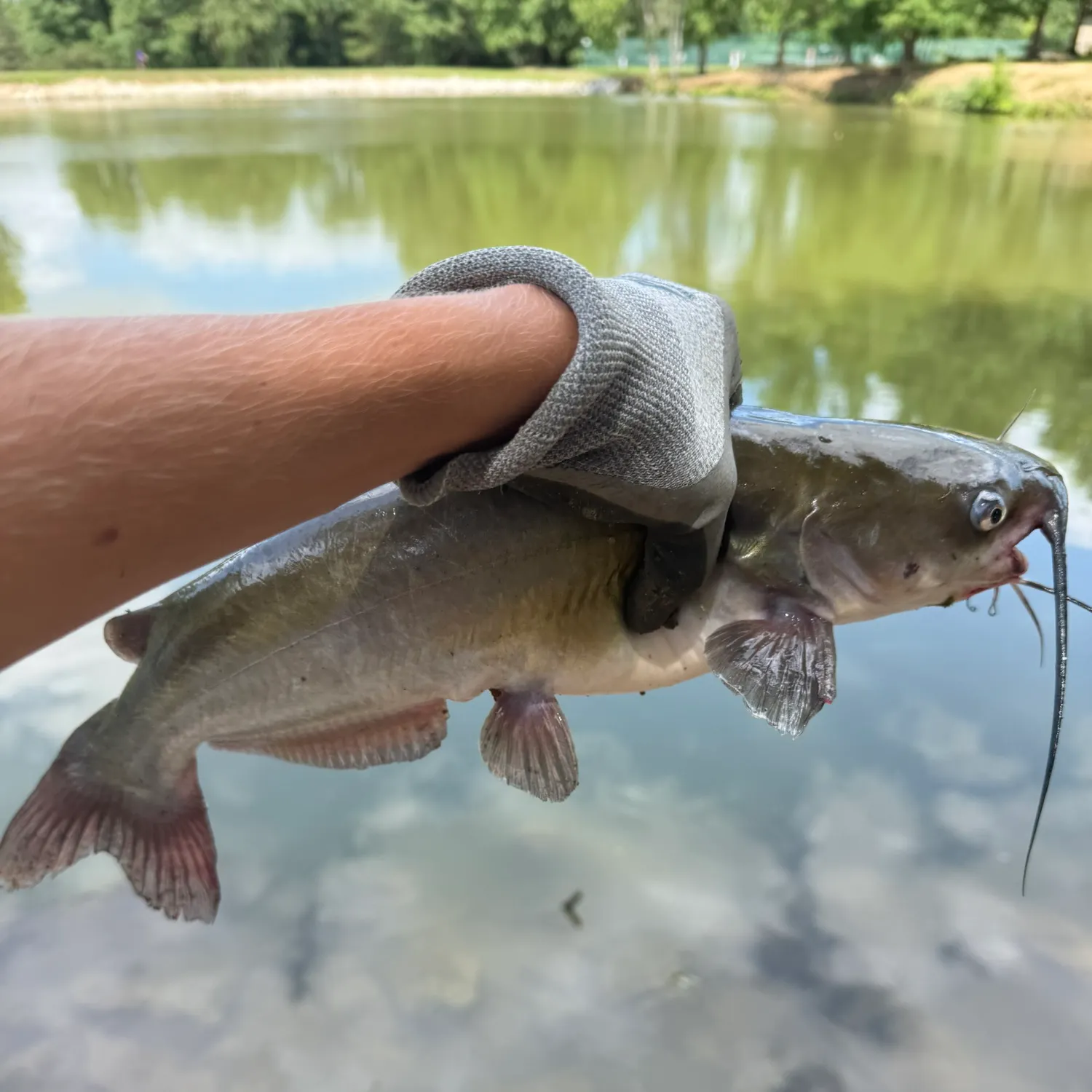 catch