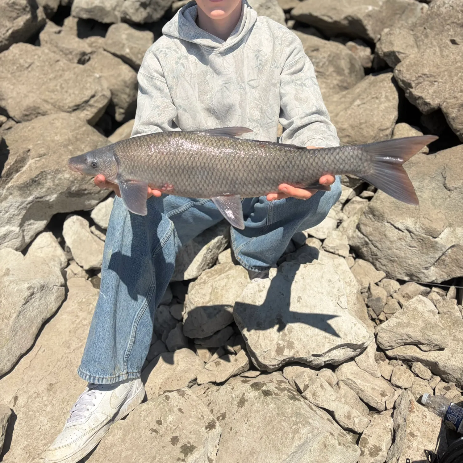 The most recent Blue sucker catches on Fishbrain