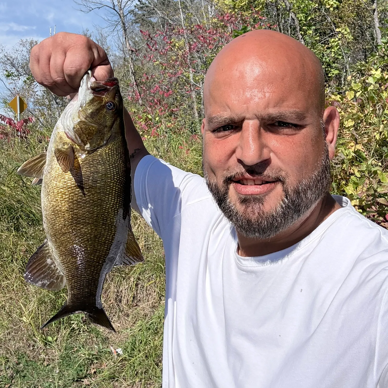Fish caught on Fishbrain