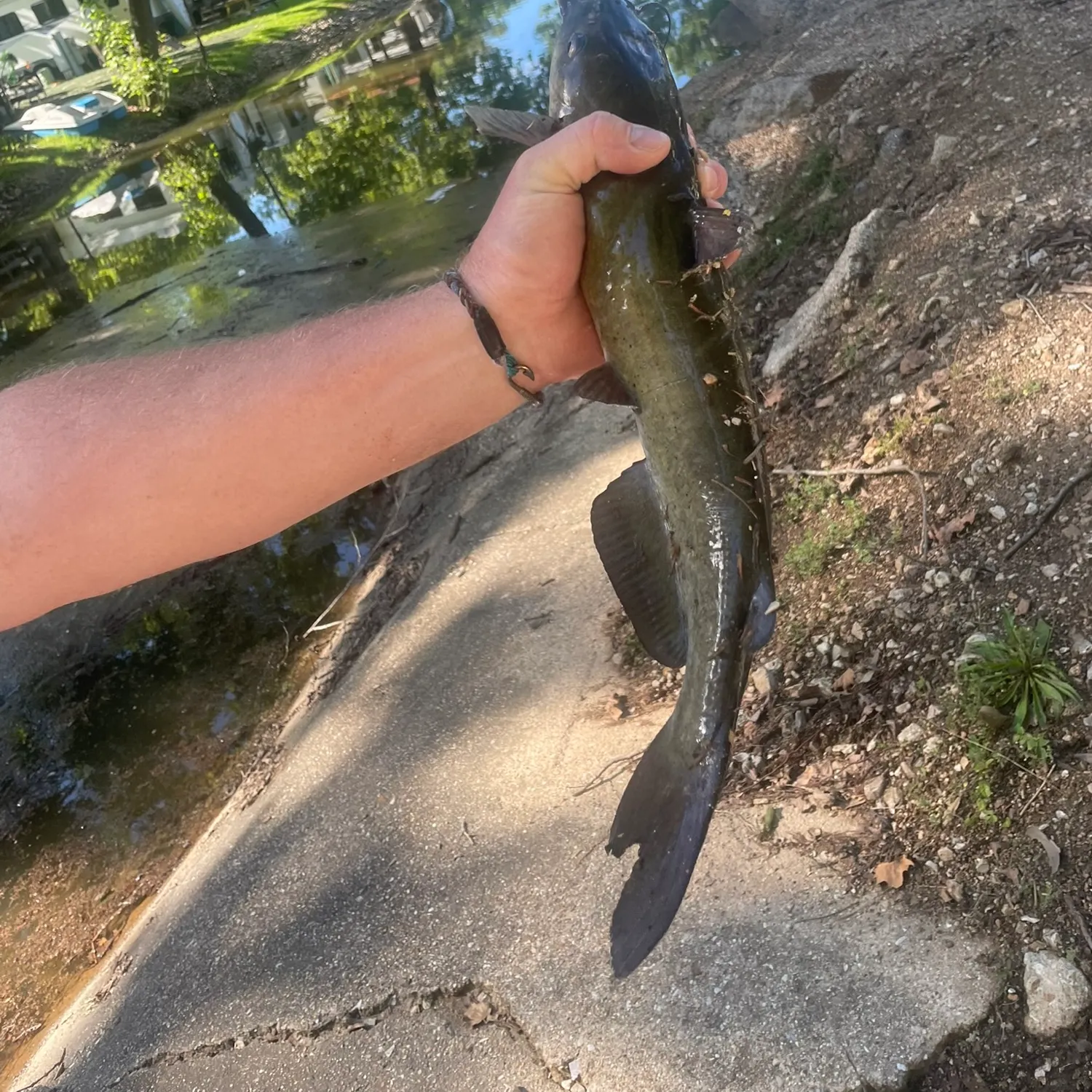 catch