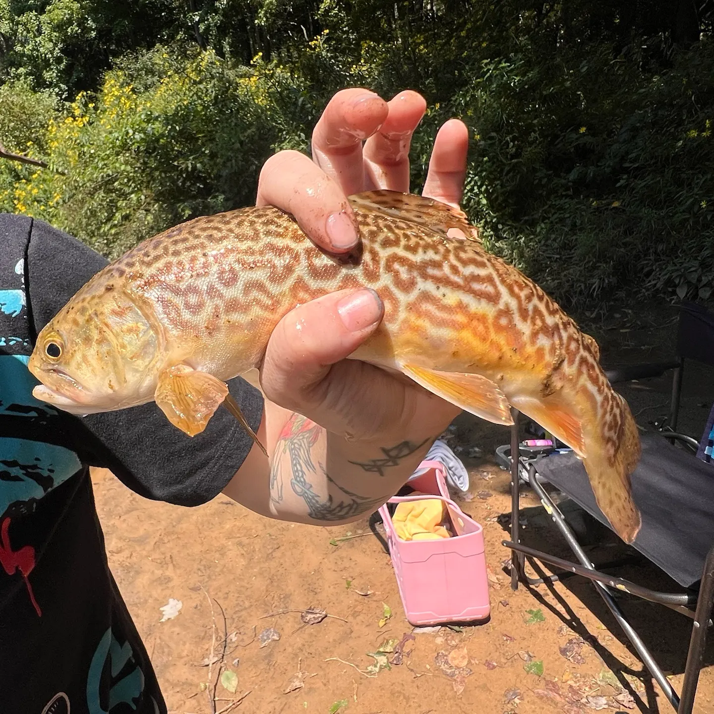 catch