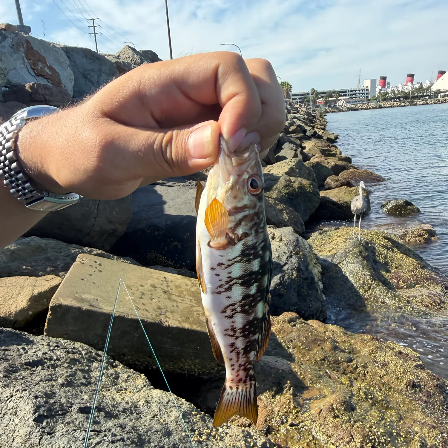 catch