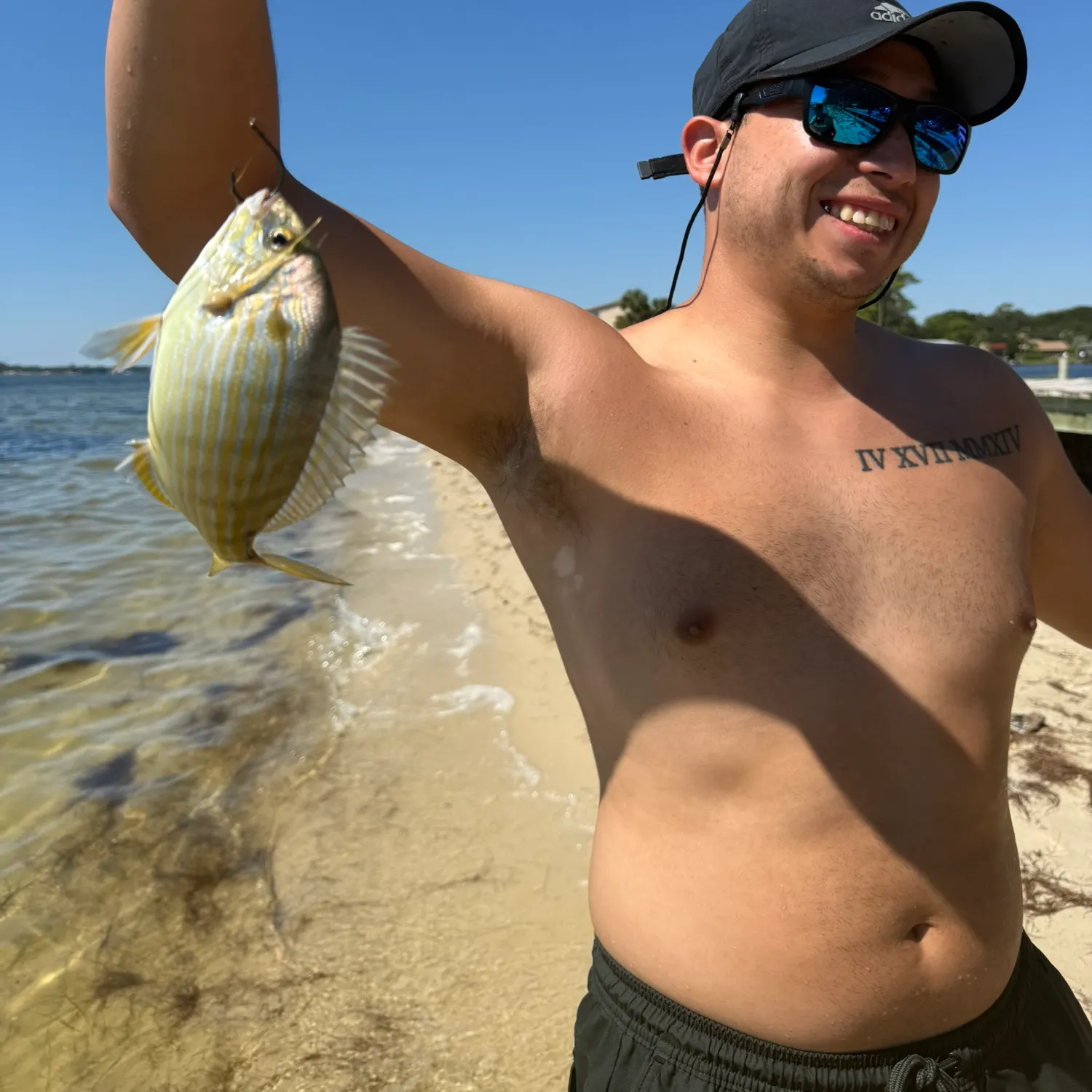 Pinfish caught on Fishbrain