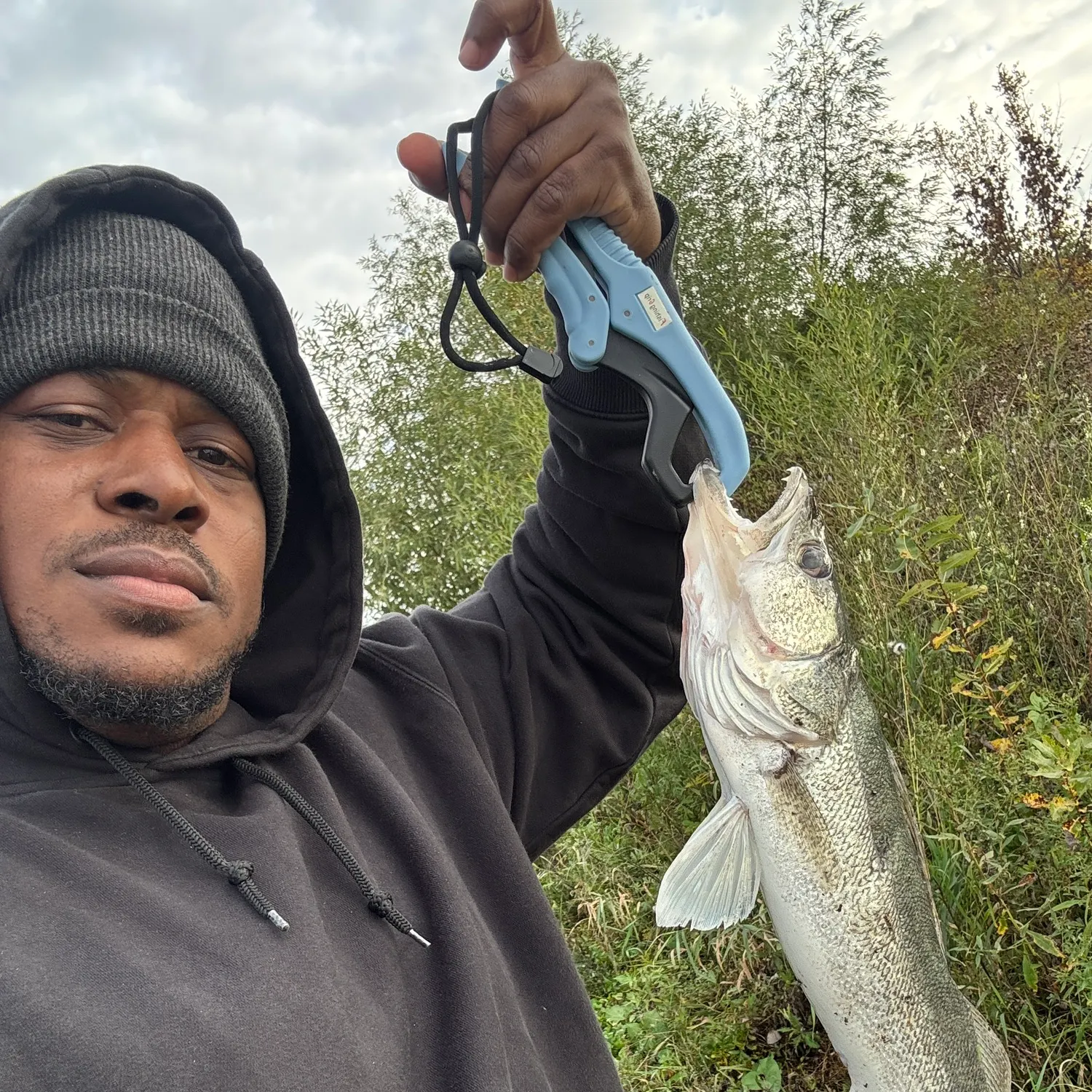 Walleye caught on Fishbrain