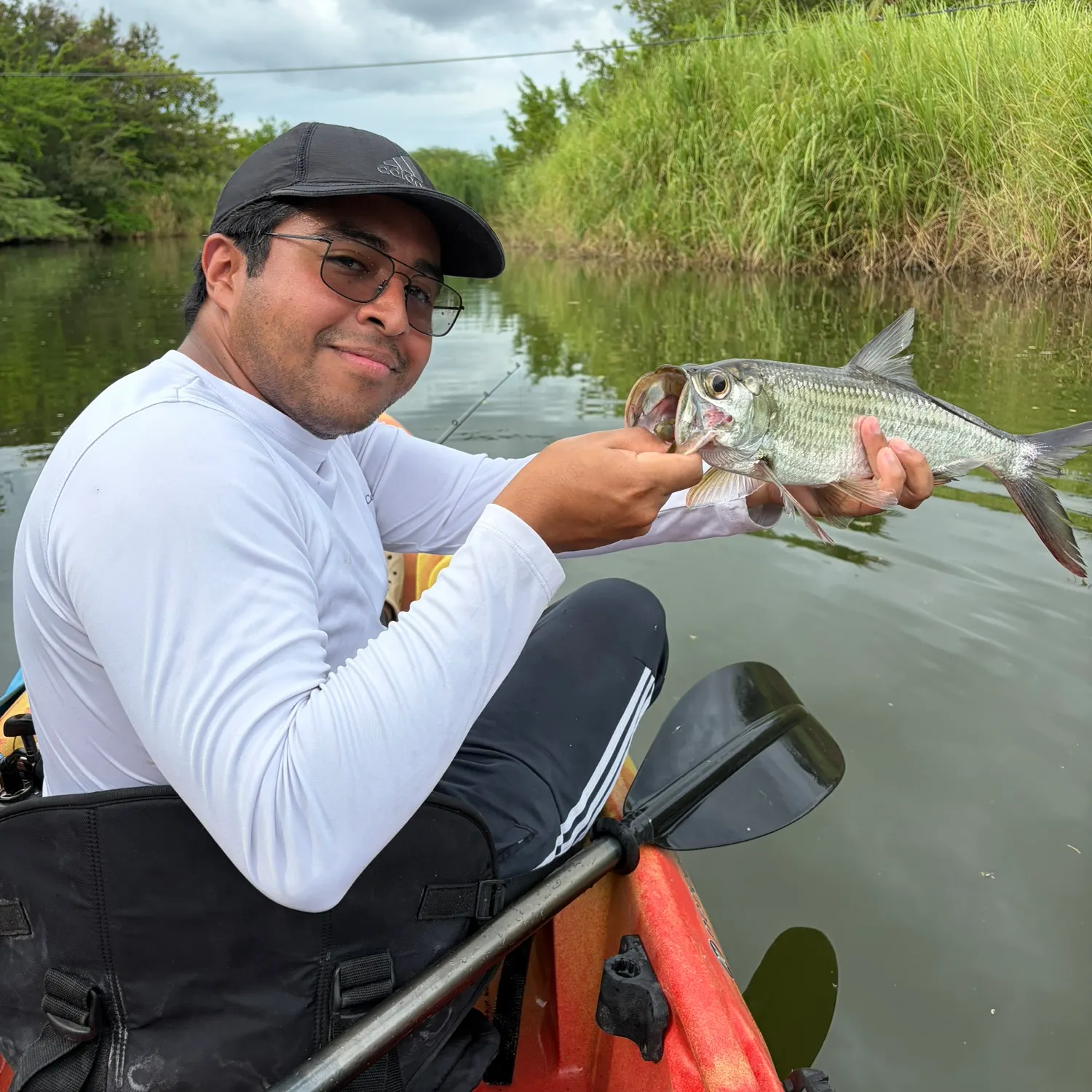 Tarpon caught on Fishbrain