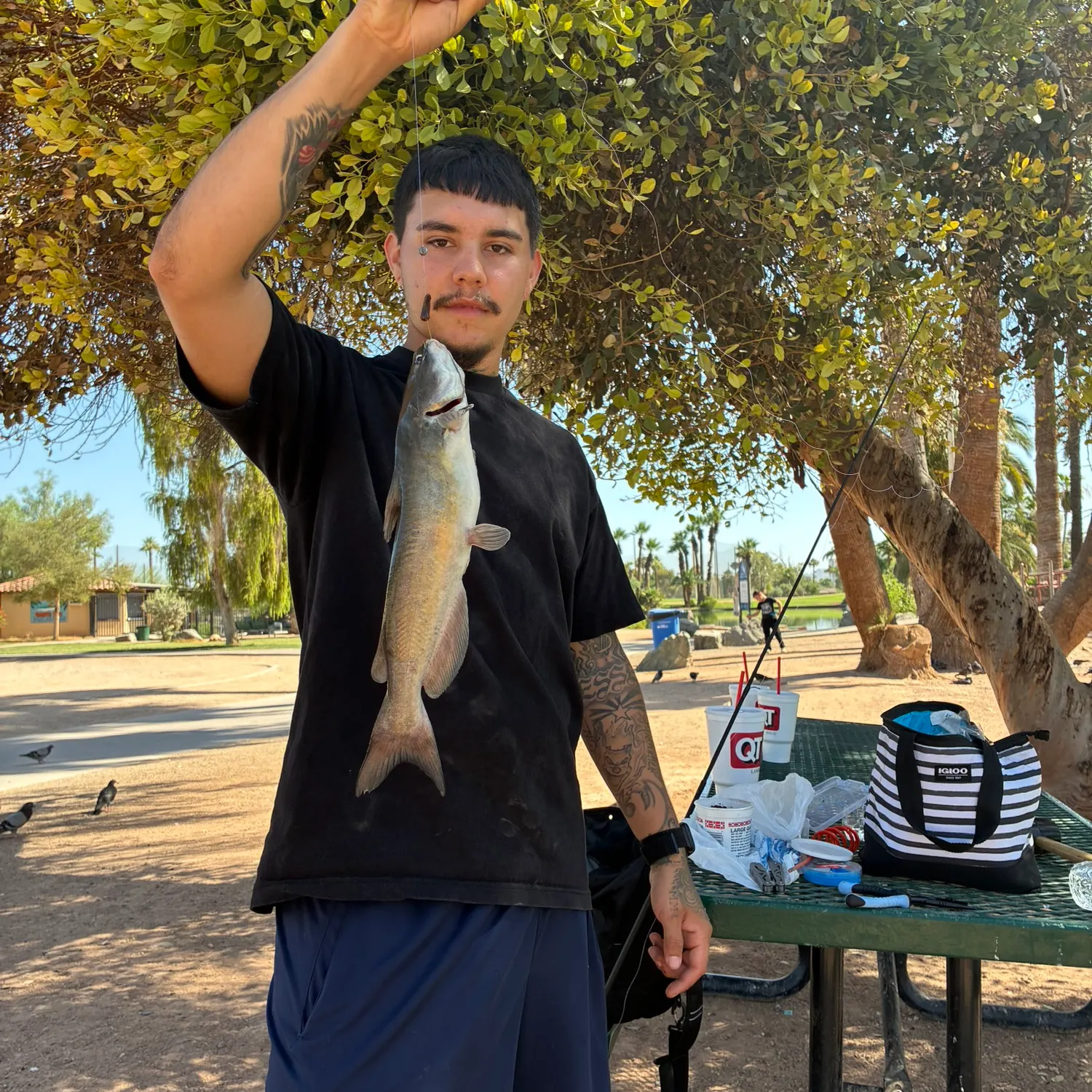 recently logged catches