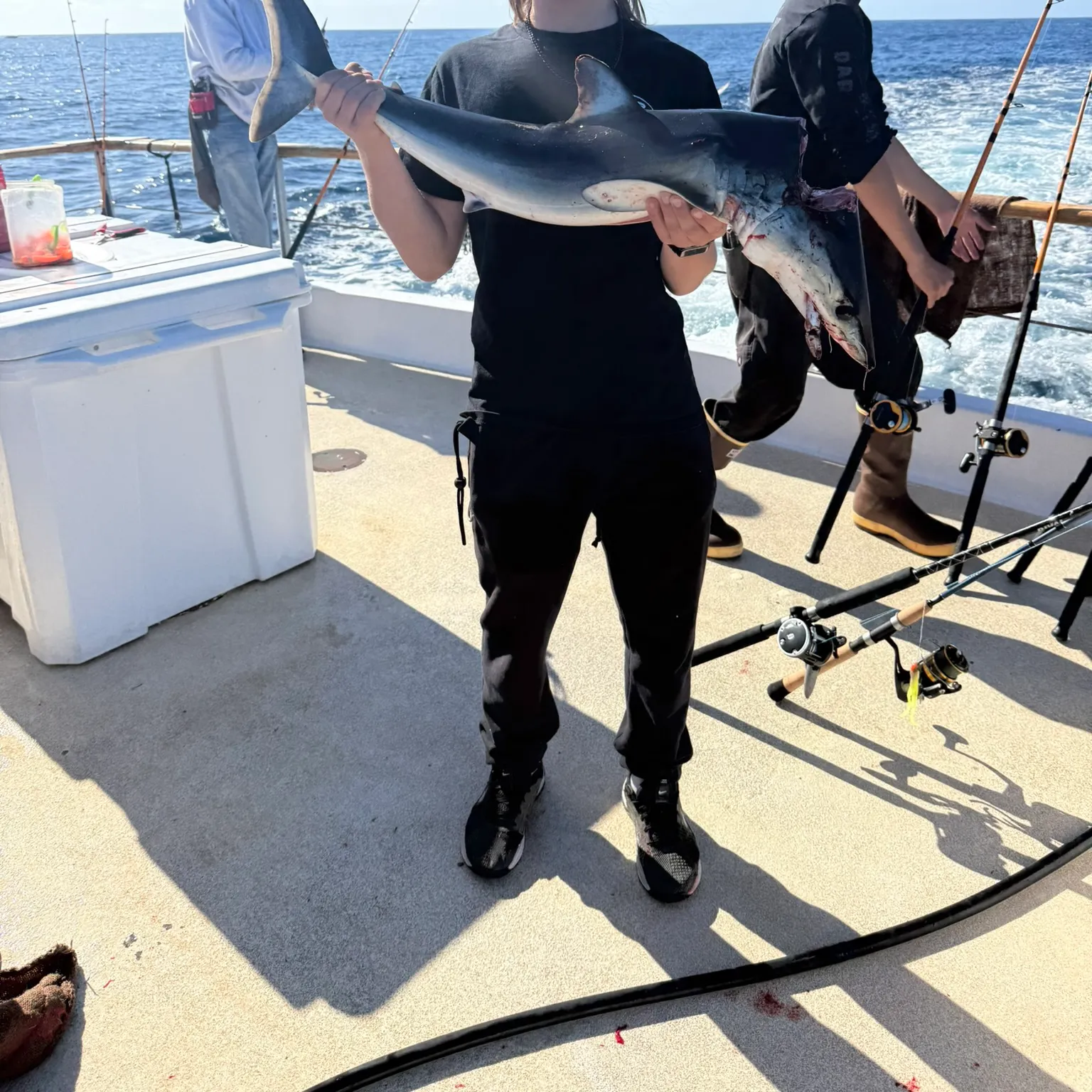The most recent Shortfin mako shark catches on Fishbrain