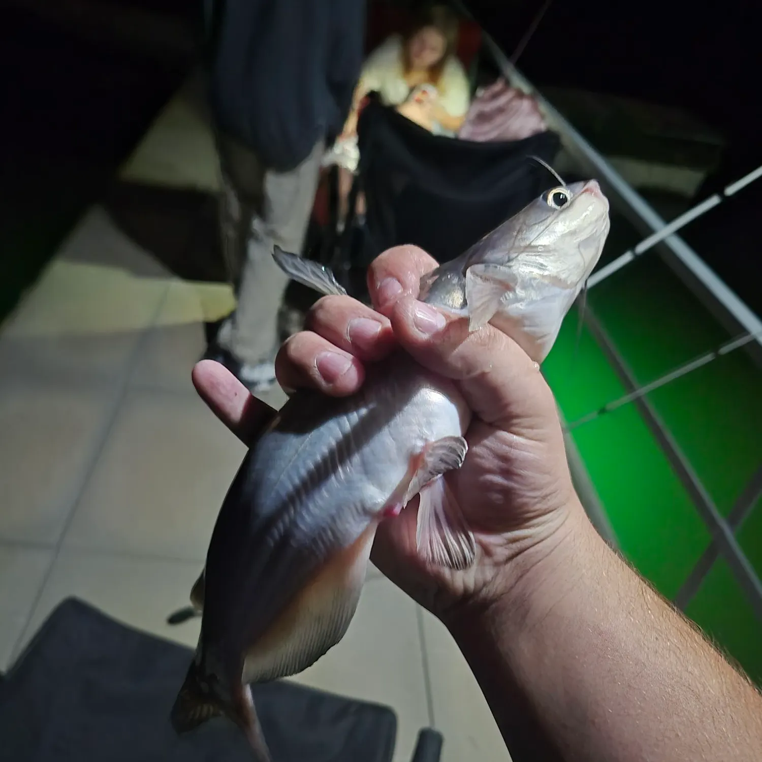 catch