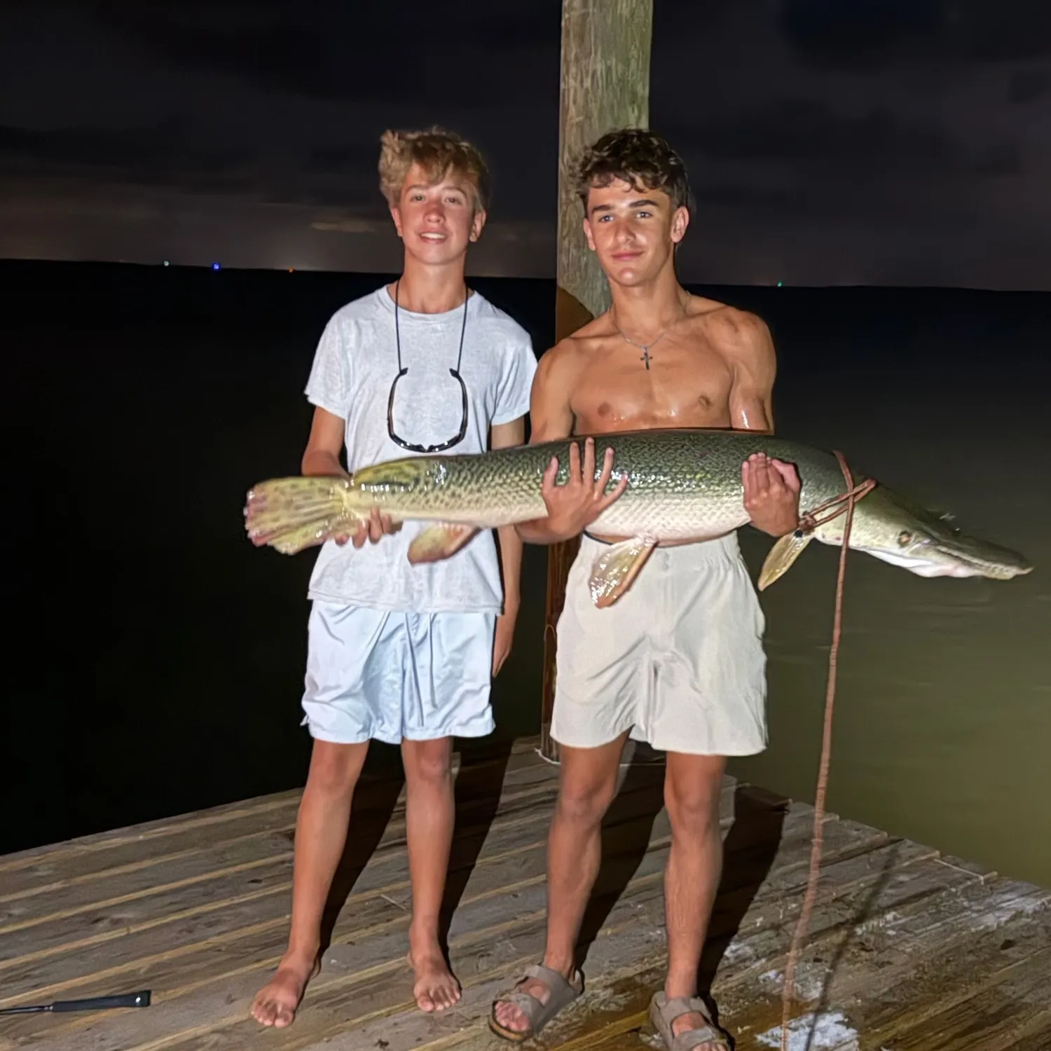 The most recent Alligator gar catches on Fishbrain