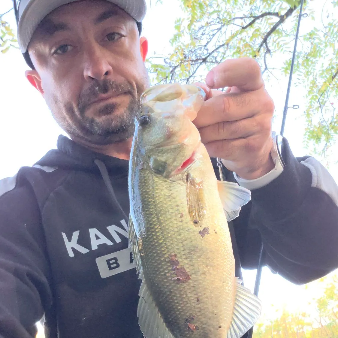 Largemouth bass caught on Fishbrain