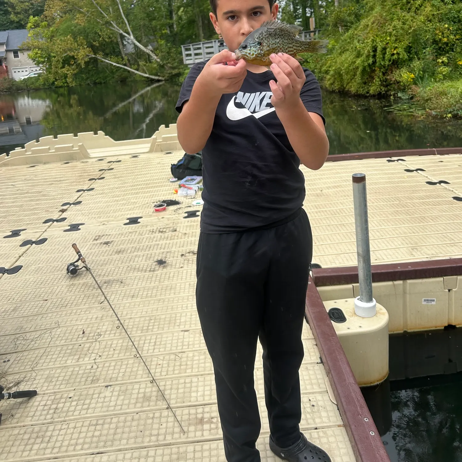 Redear sunfish caught on Fishbrain