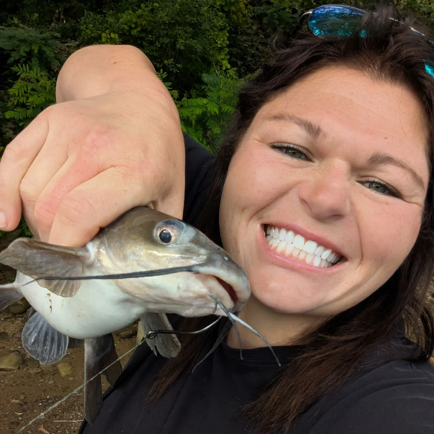 Channel catfish caught on Fishbrain