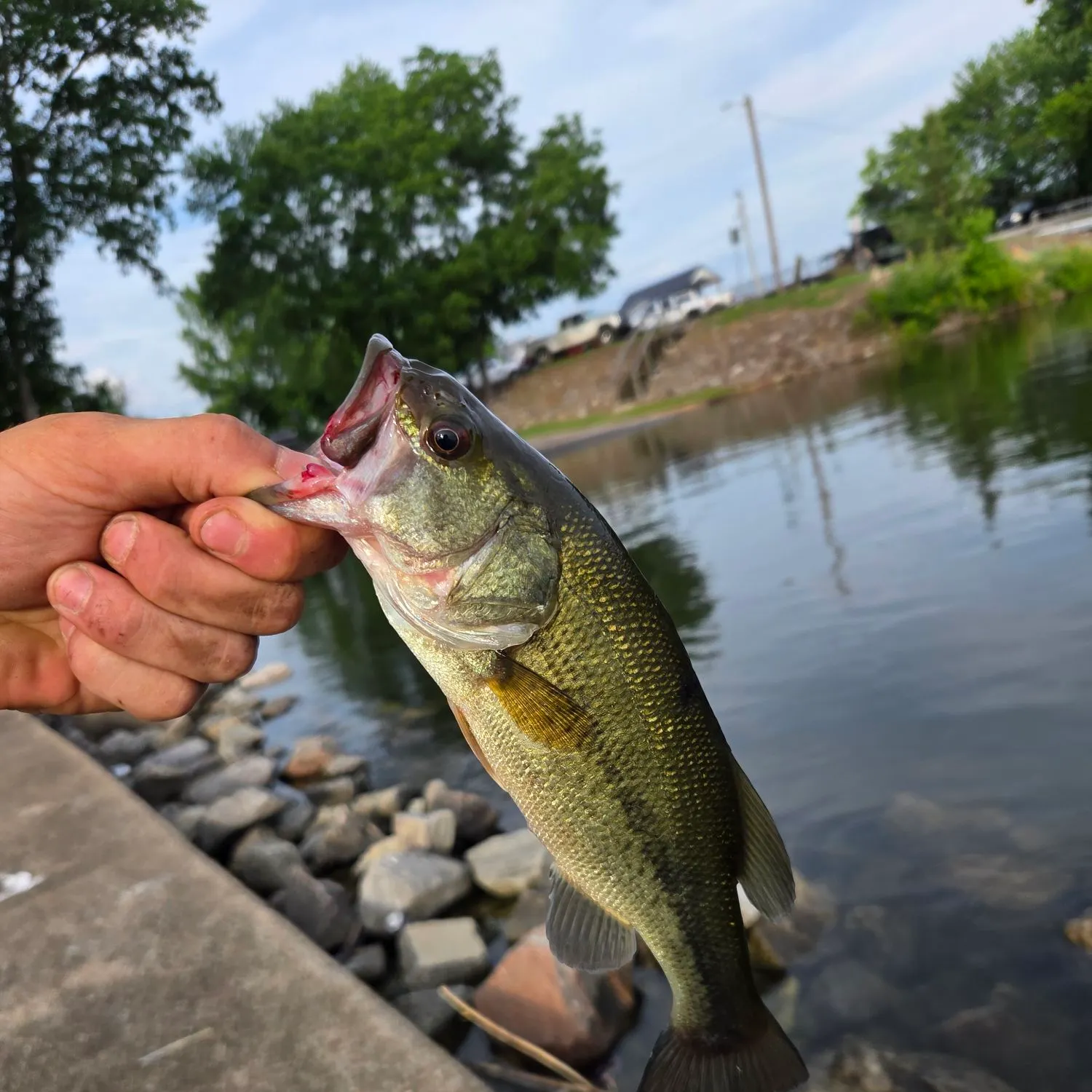 catch