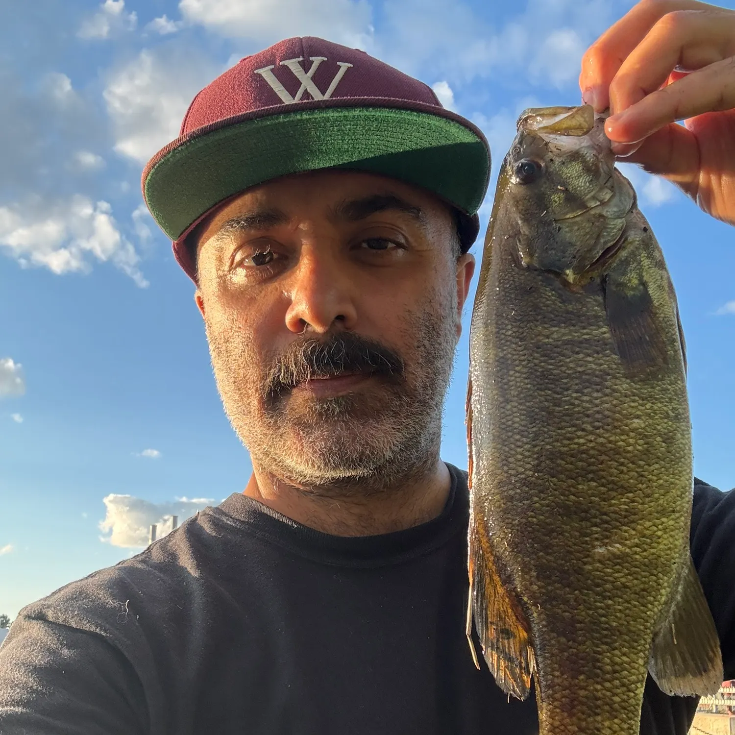 Smallmouth bass caught on Fishbrain