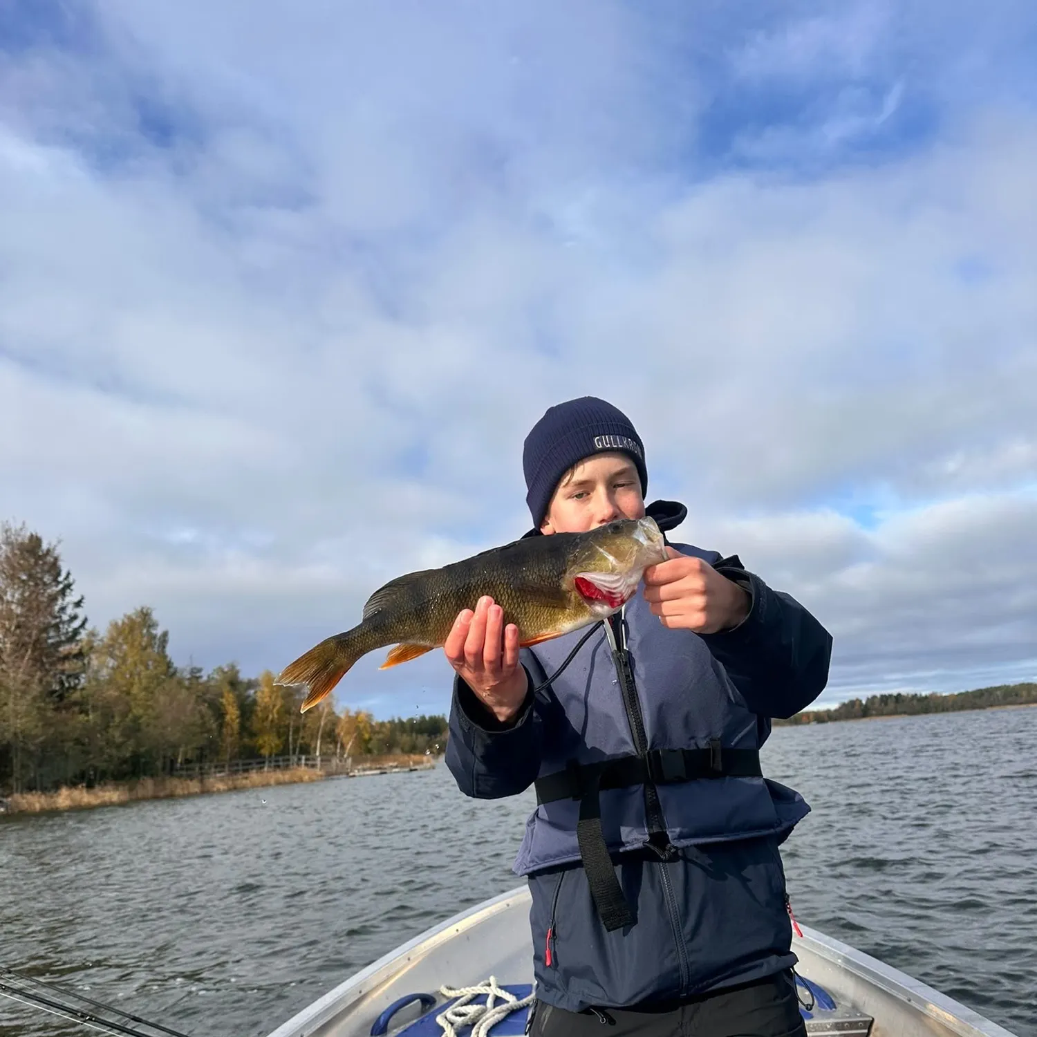 European perch caught on Fishbrain