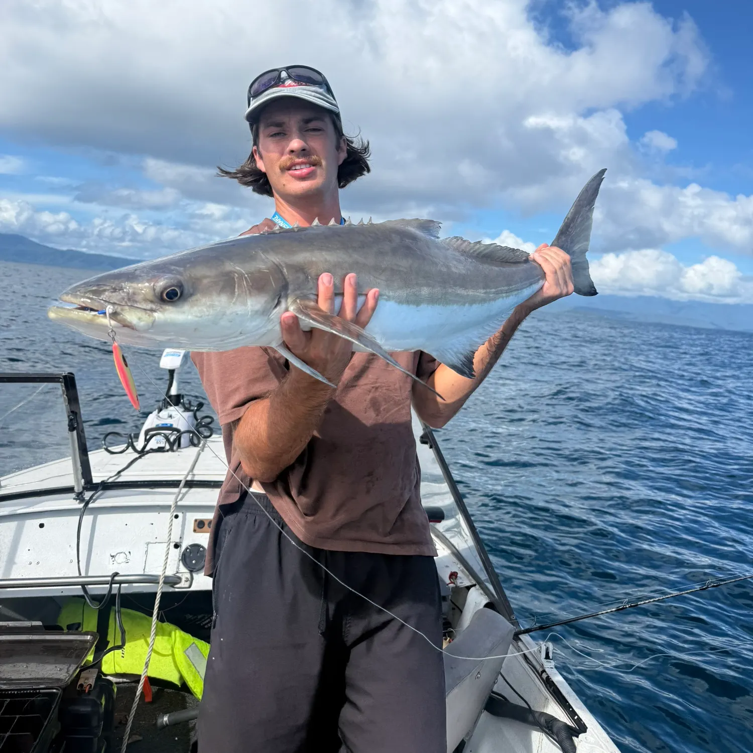 The most recent Cobia catches on Fishbrain