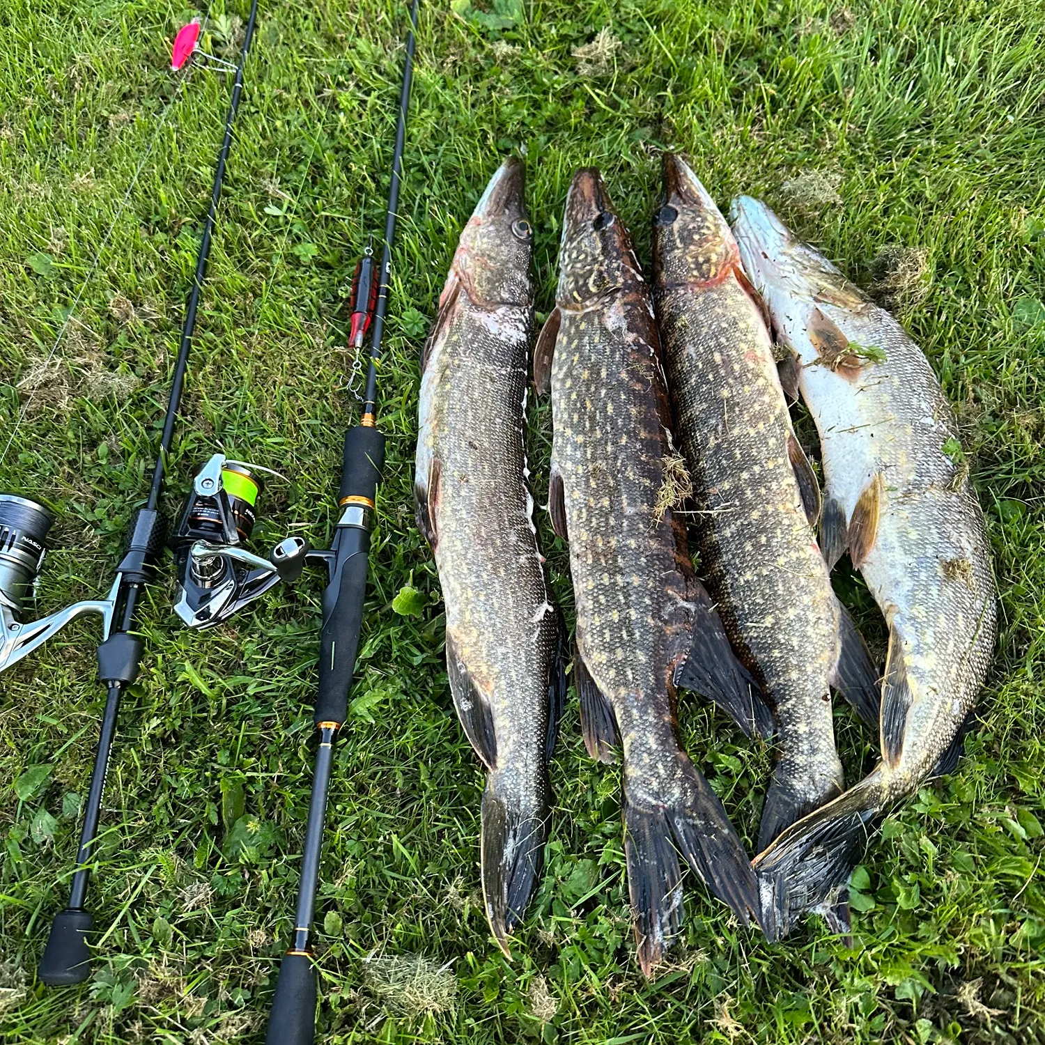 recently logged catches