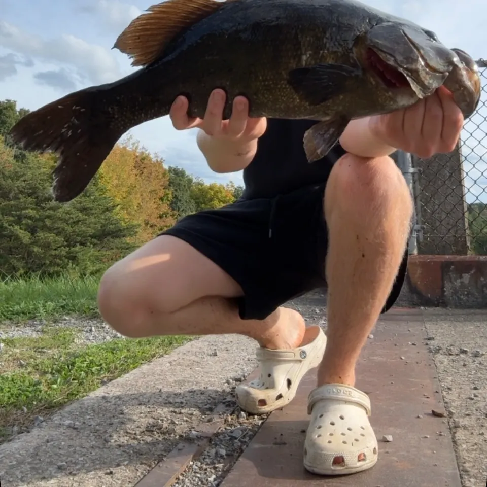 Smallmouth bass caught on Fishbrain