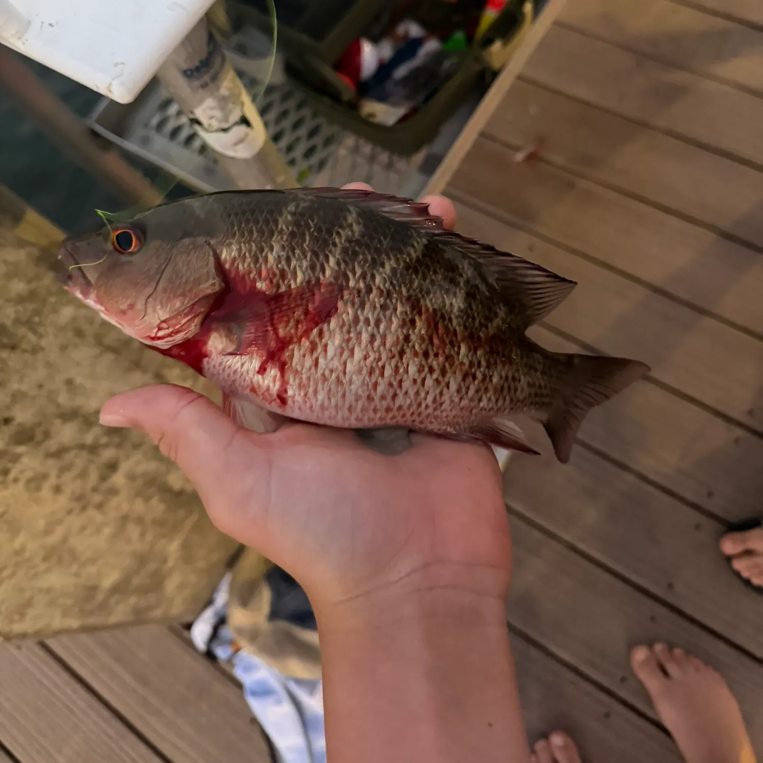 catch