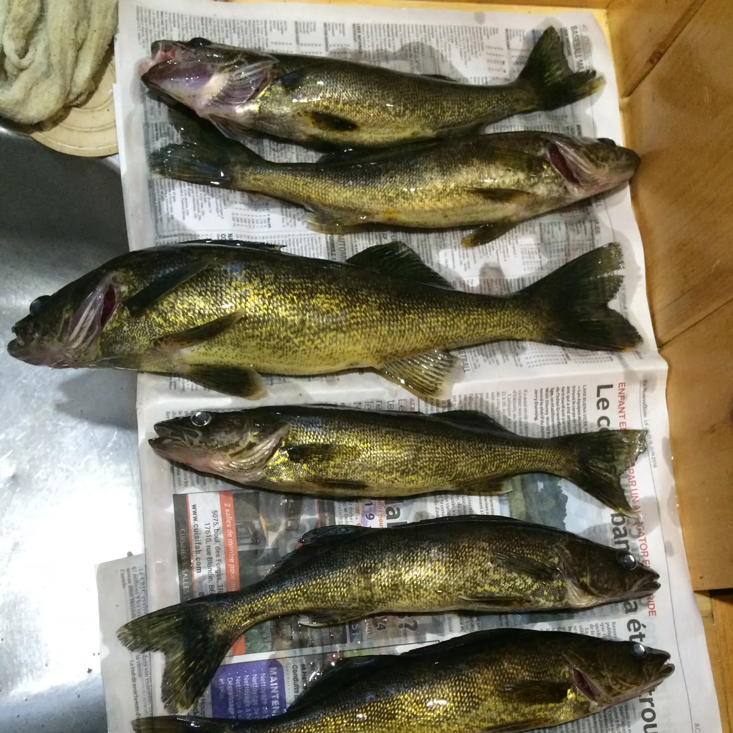 recently logged catches