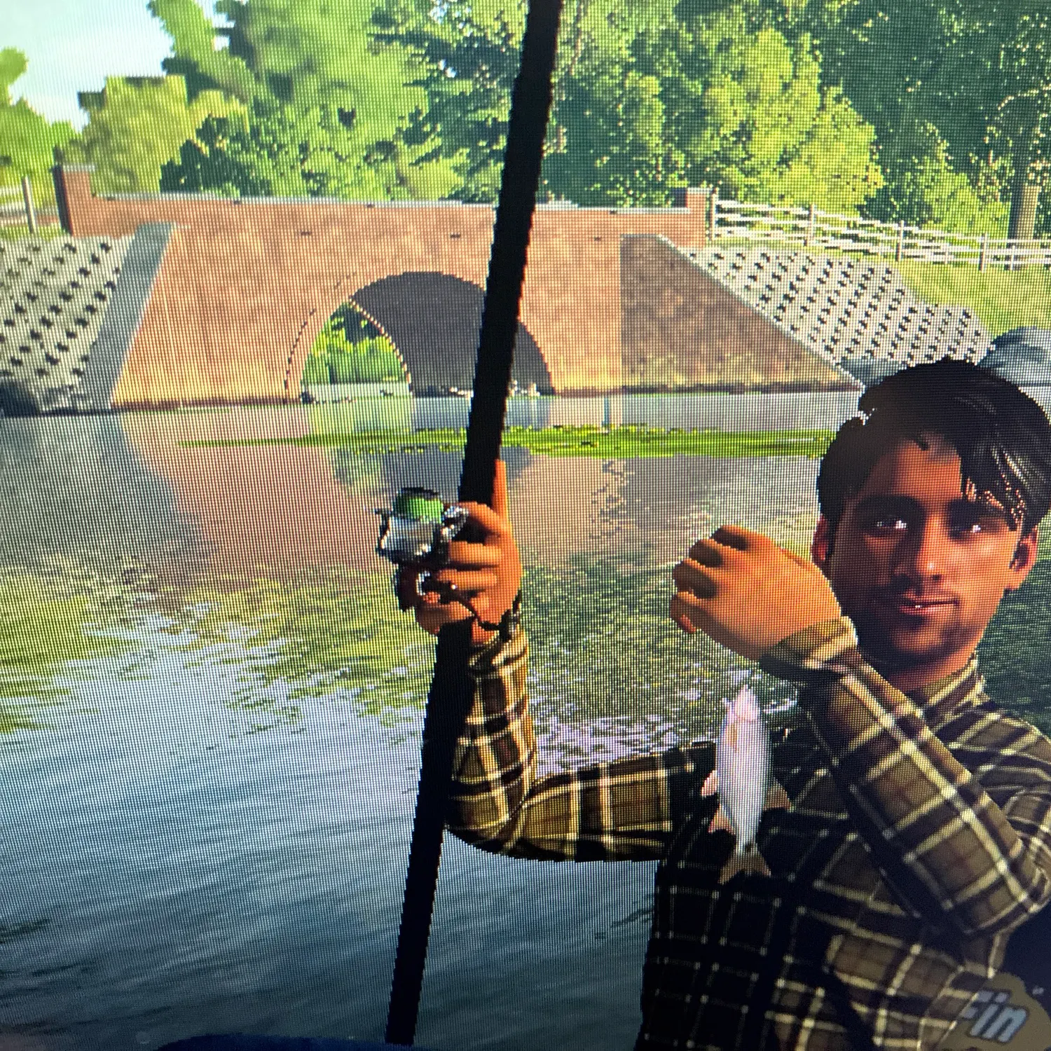 Eastern blacktail shiner caught on Fishbrain