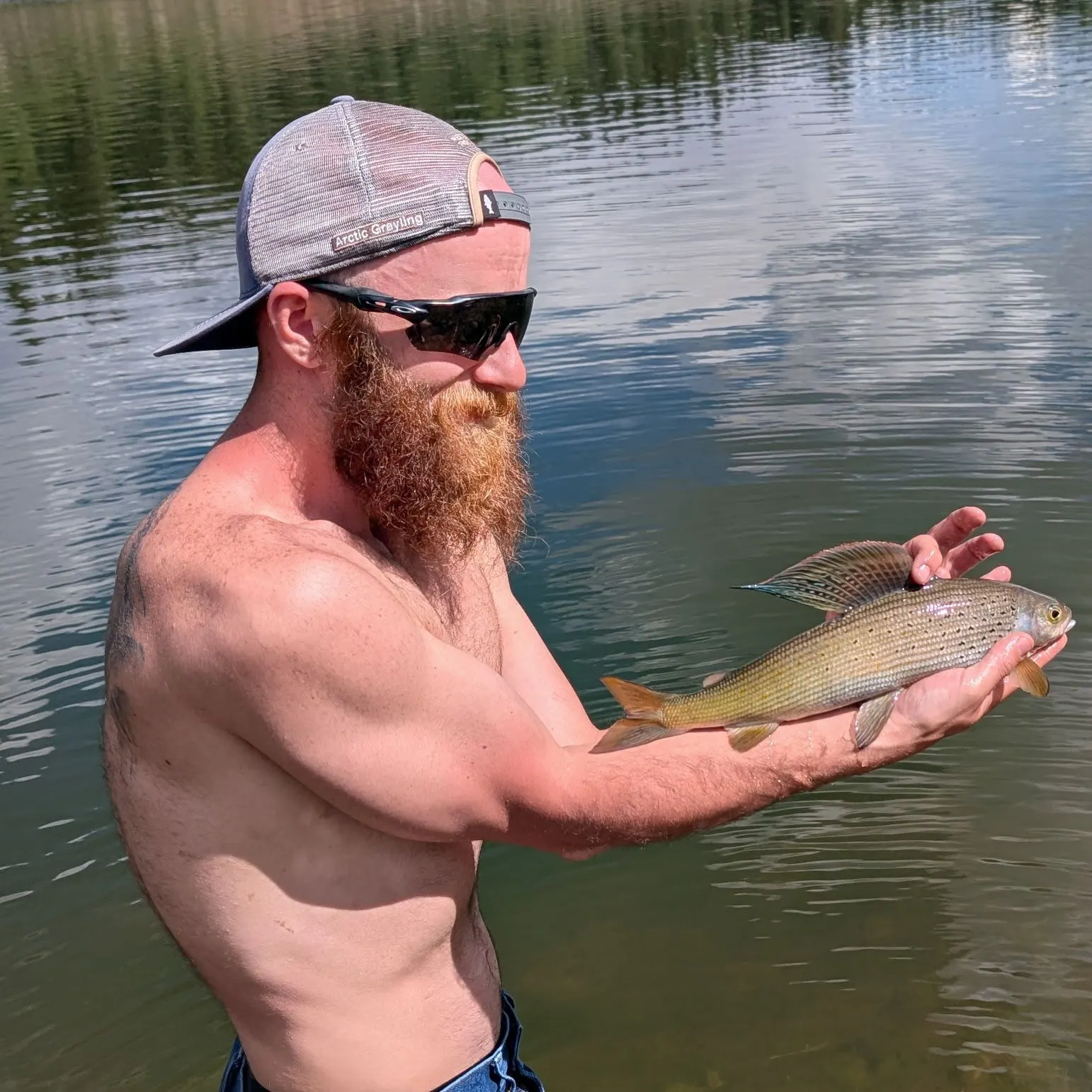 Arctic grayling caught on Fishbrain