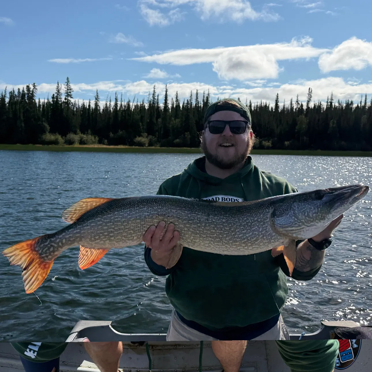 Northern pike caught on Fishbrain