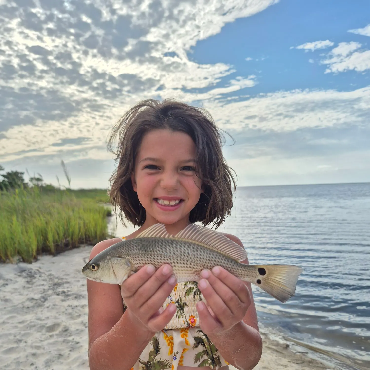 The most recent Red drum catches on Fishbrain