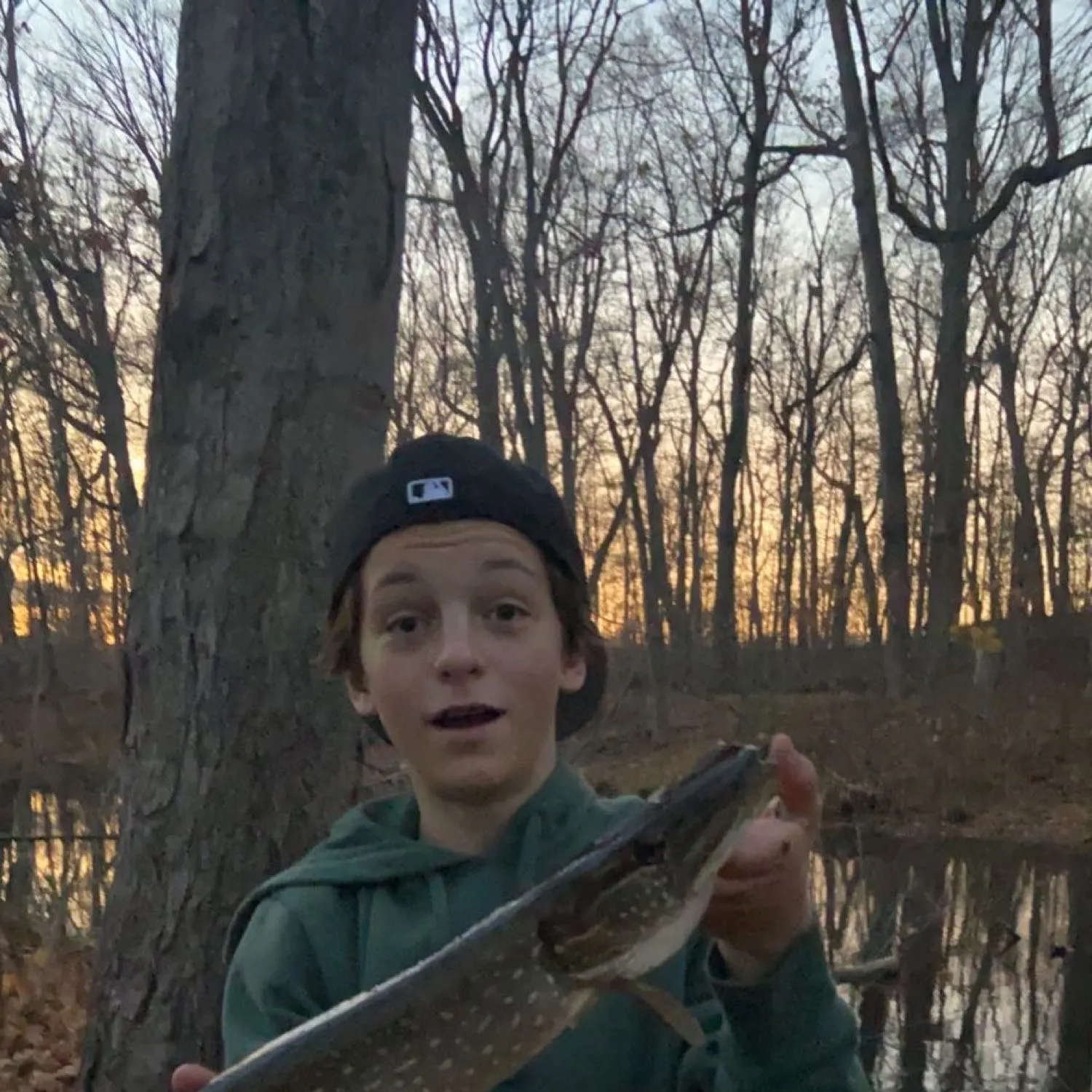 Northern pike caught on Fishbrain