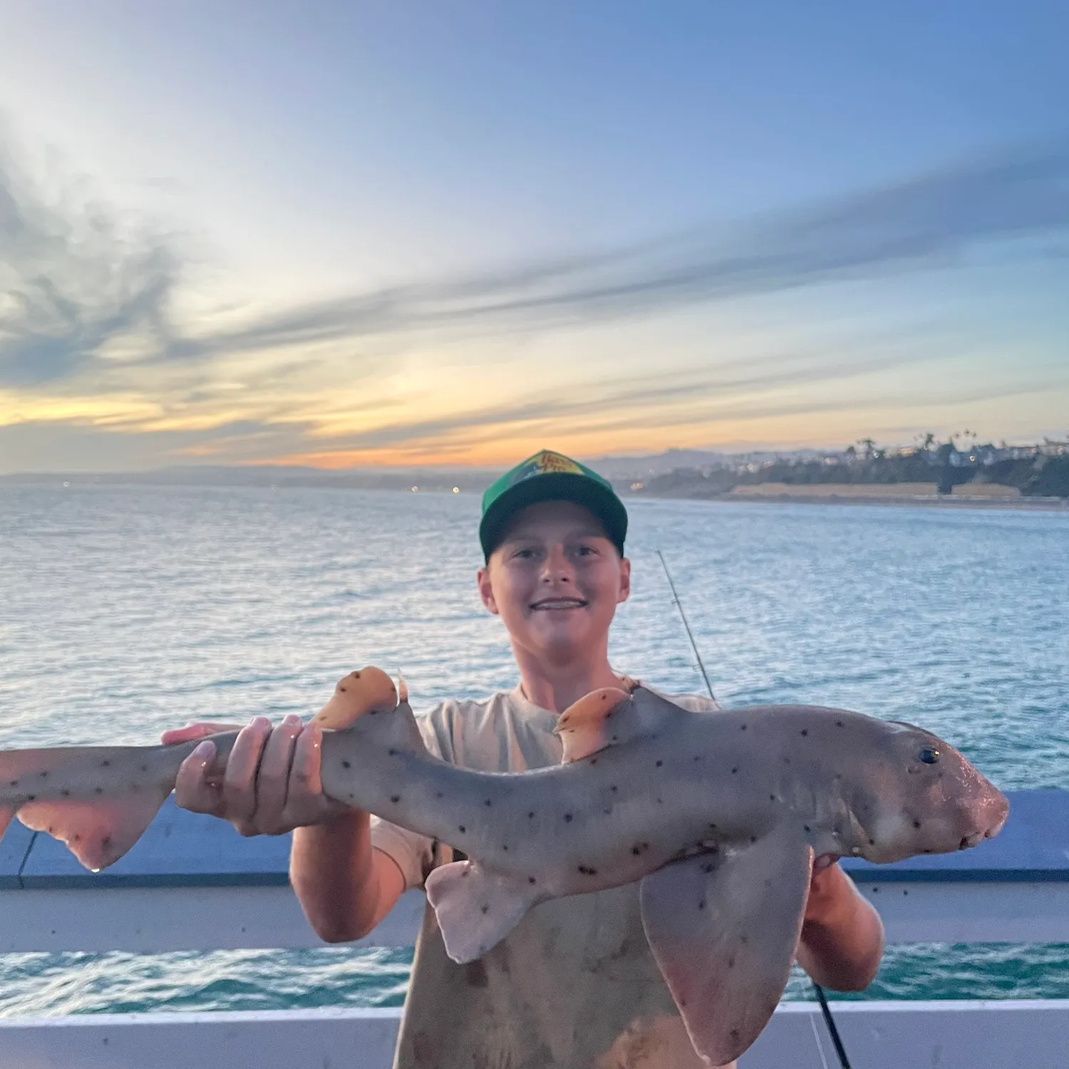 The most recent Horn shark catches on Fishbrain