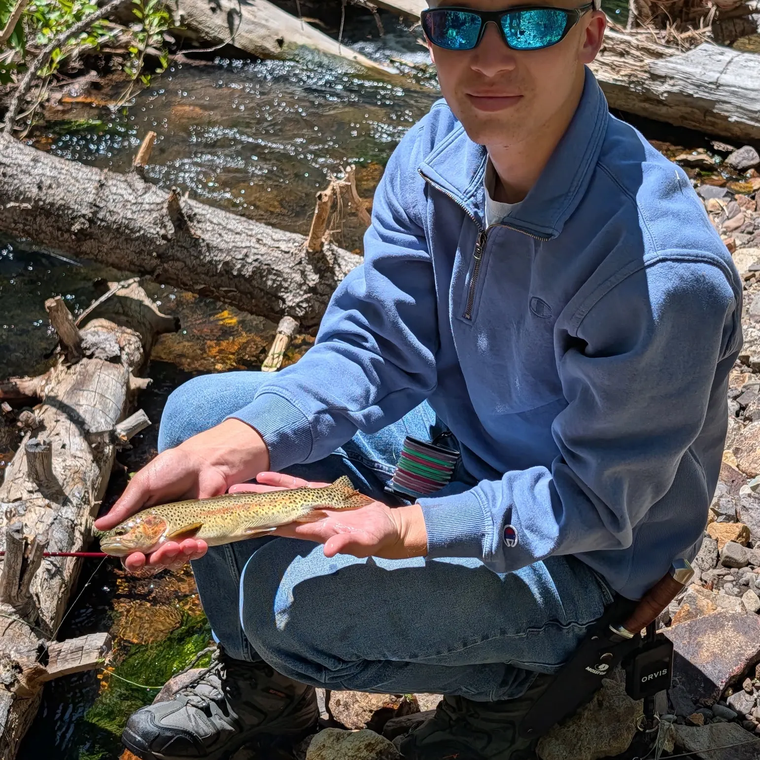 The most recent Goose Lake Redband Trout catches on Fishbrain