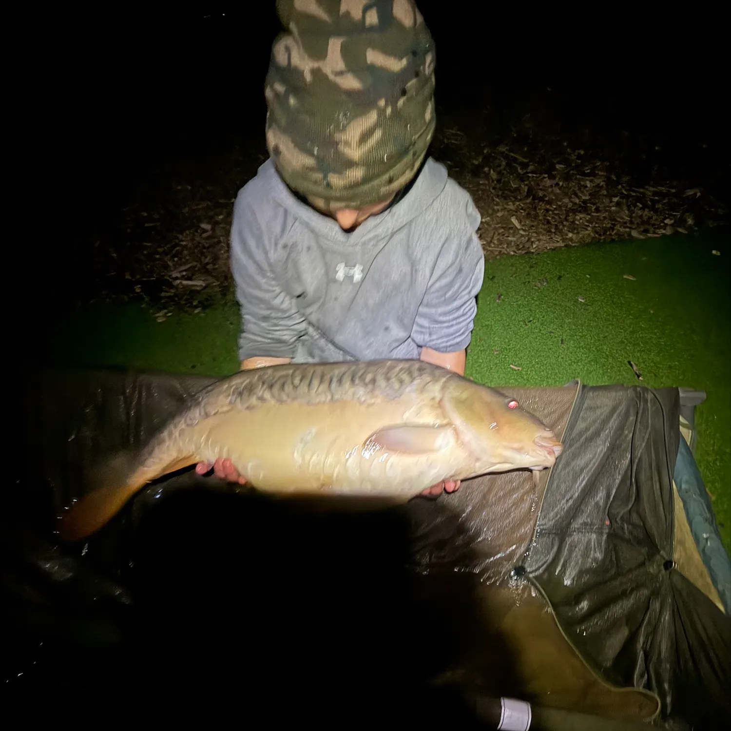 Mirror carp caught on Fishbrain