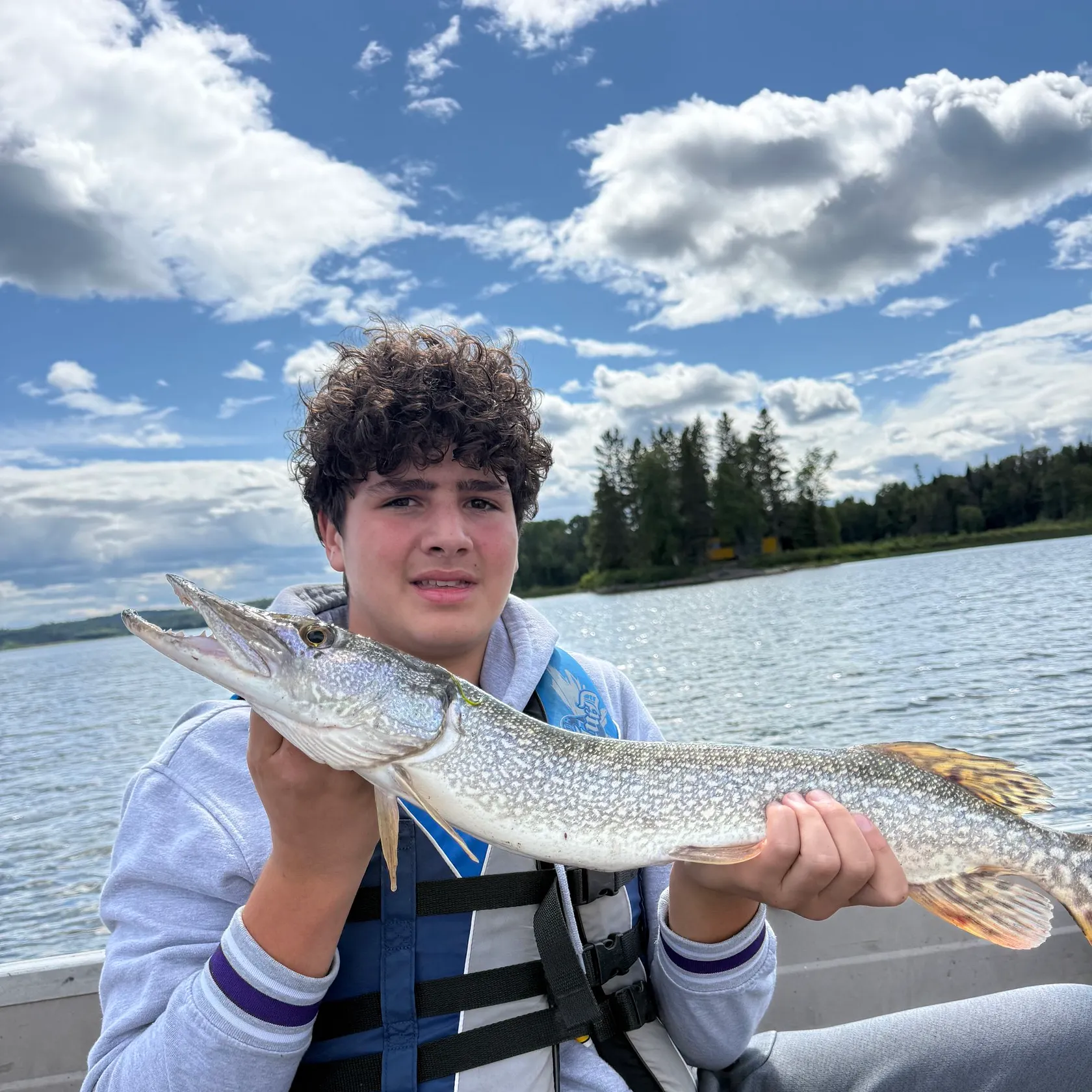 Northern pike caught on Fishbrain